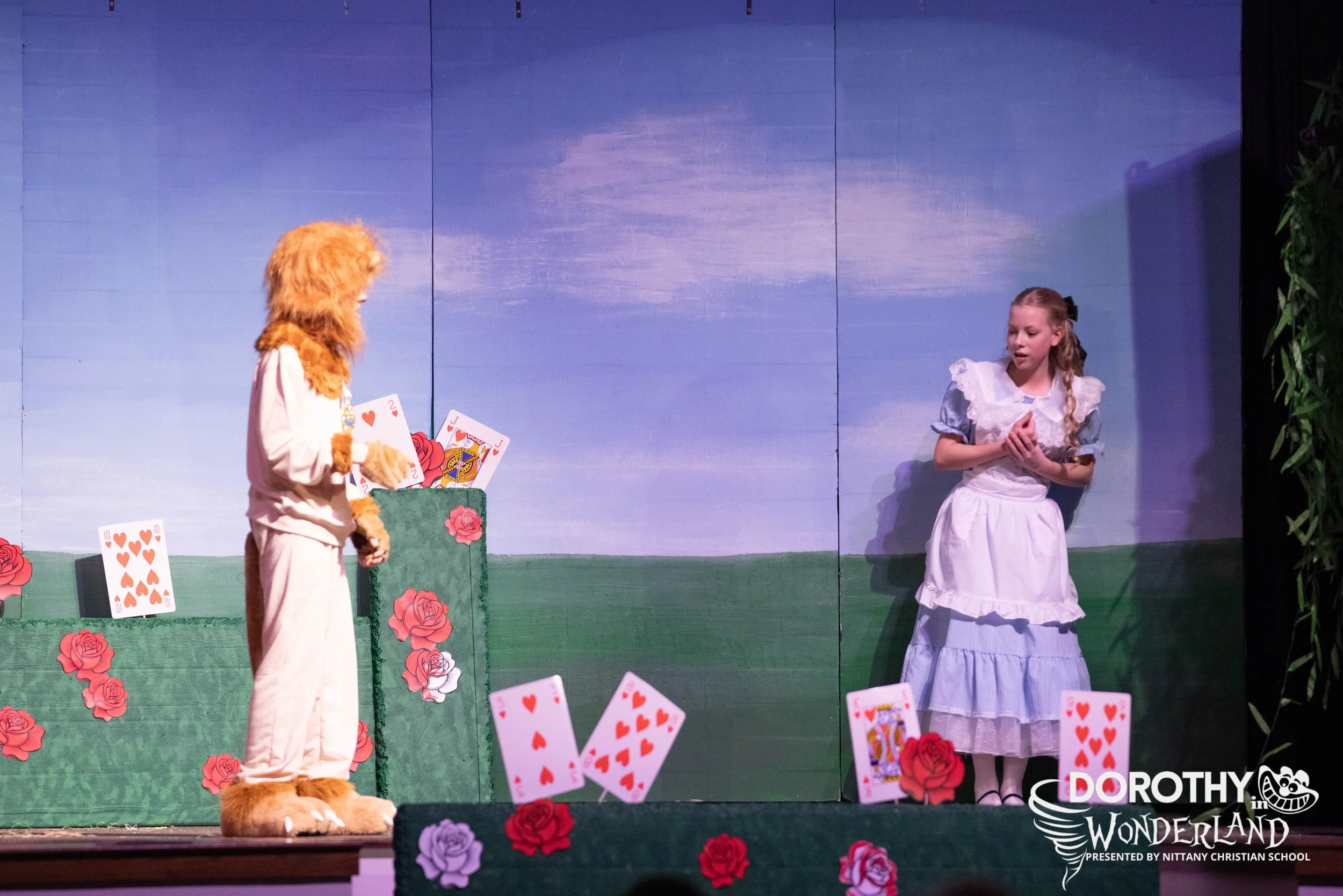 NCS-Dorothy 2026-121.jpg