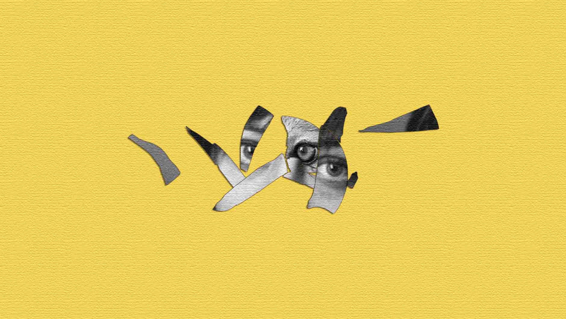 DIVISOR_02.jpg