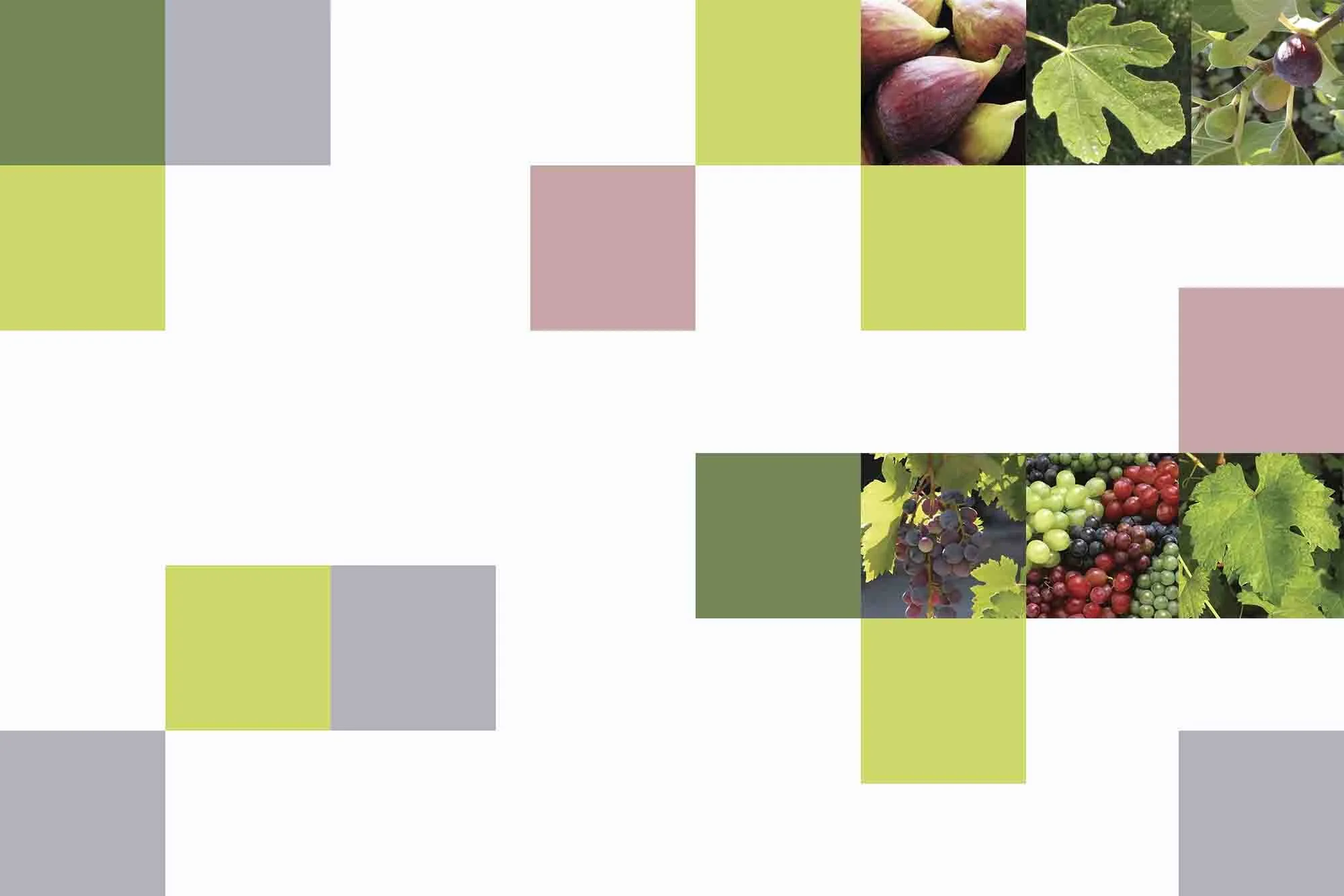 Kindergarten Yavne.jpg