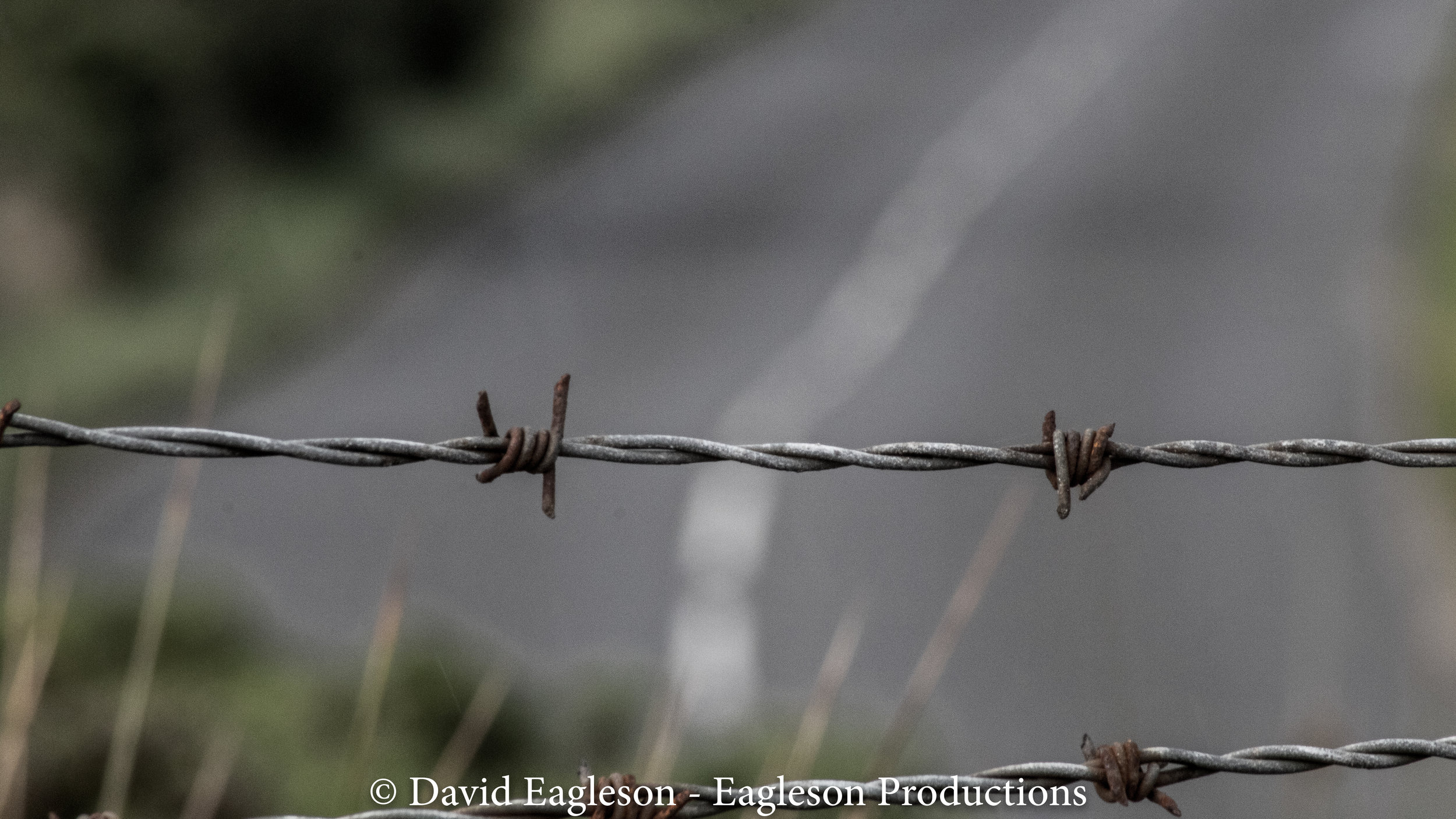 Barbed Wire
