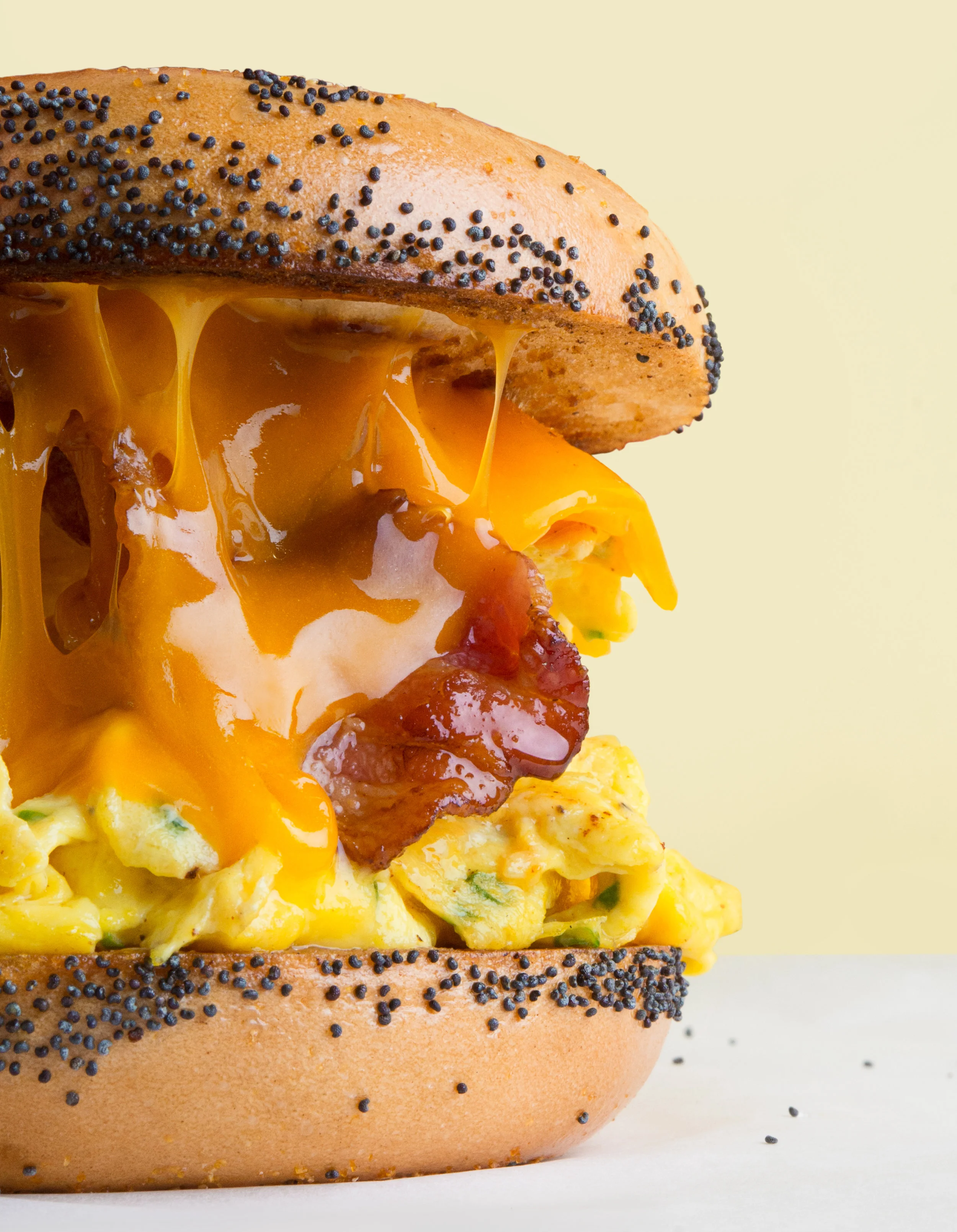 Food & Prop Styling : breakfast sandwich with cheese and bacon