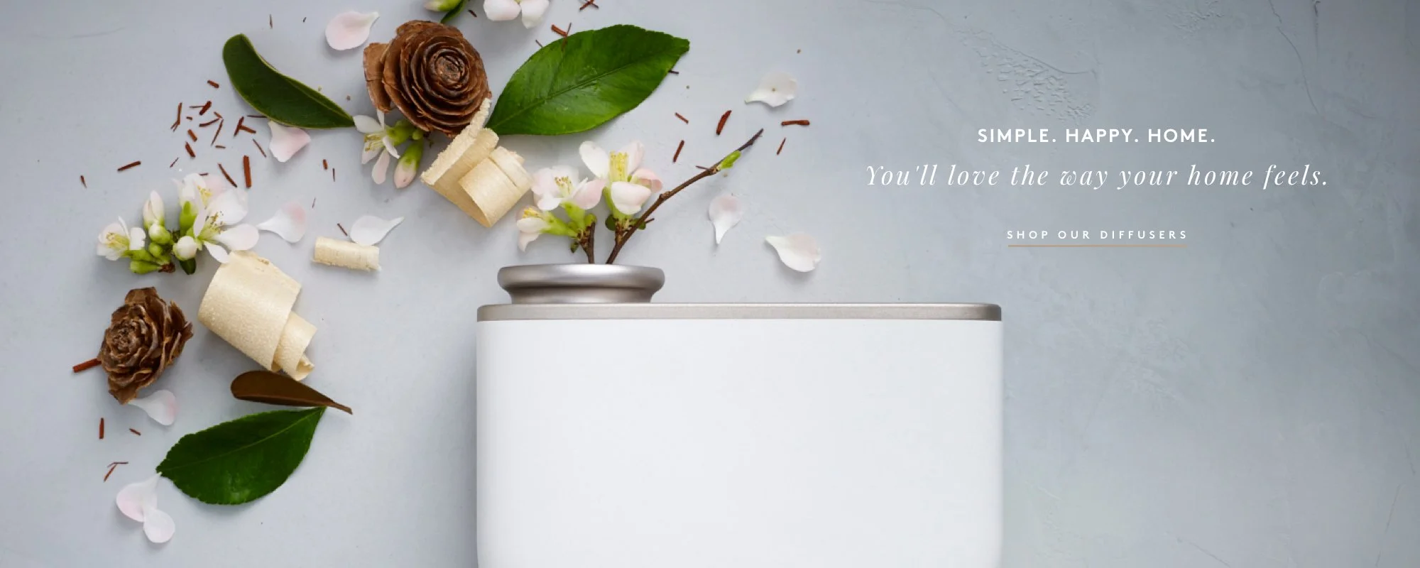 Homepage_HERO_desktop_2000x.jpg