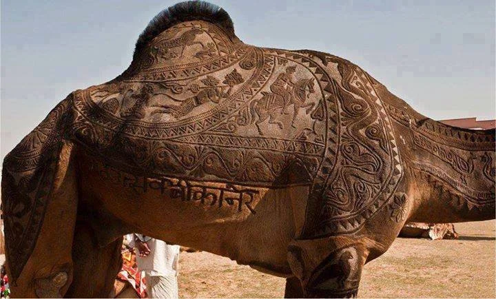 Pimp+my+ride+allah+akbar+edition_4bf464_4738774.jpg