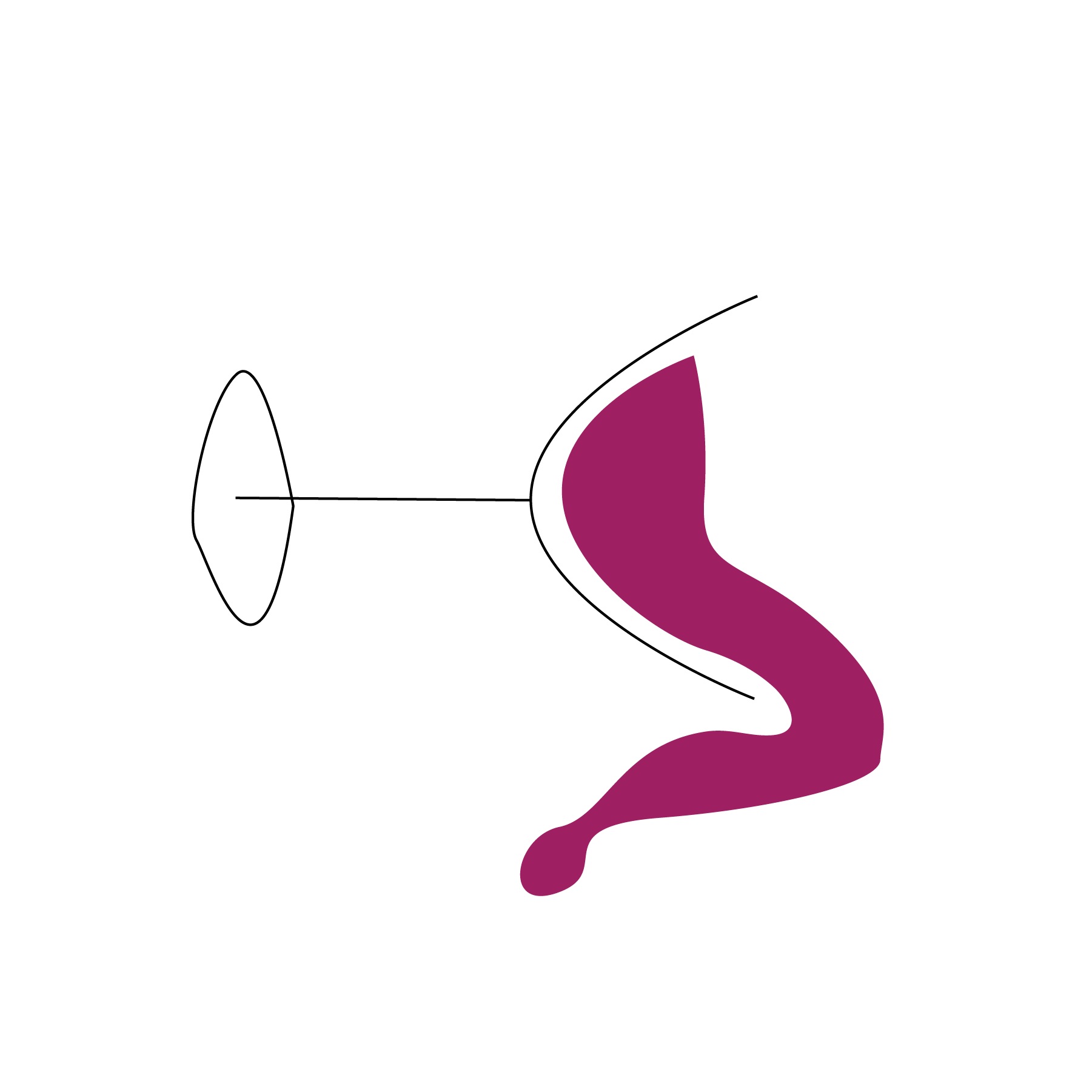 wine_elements-01.jpeg