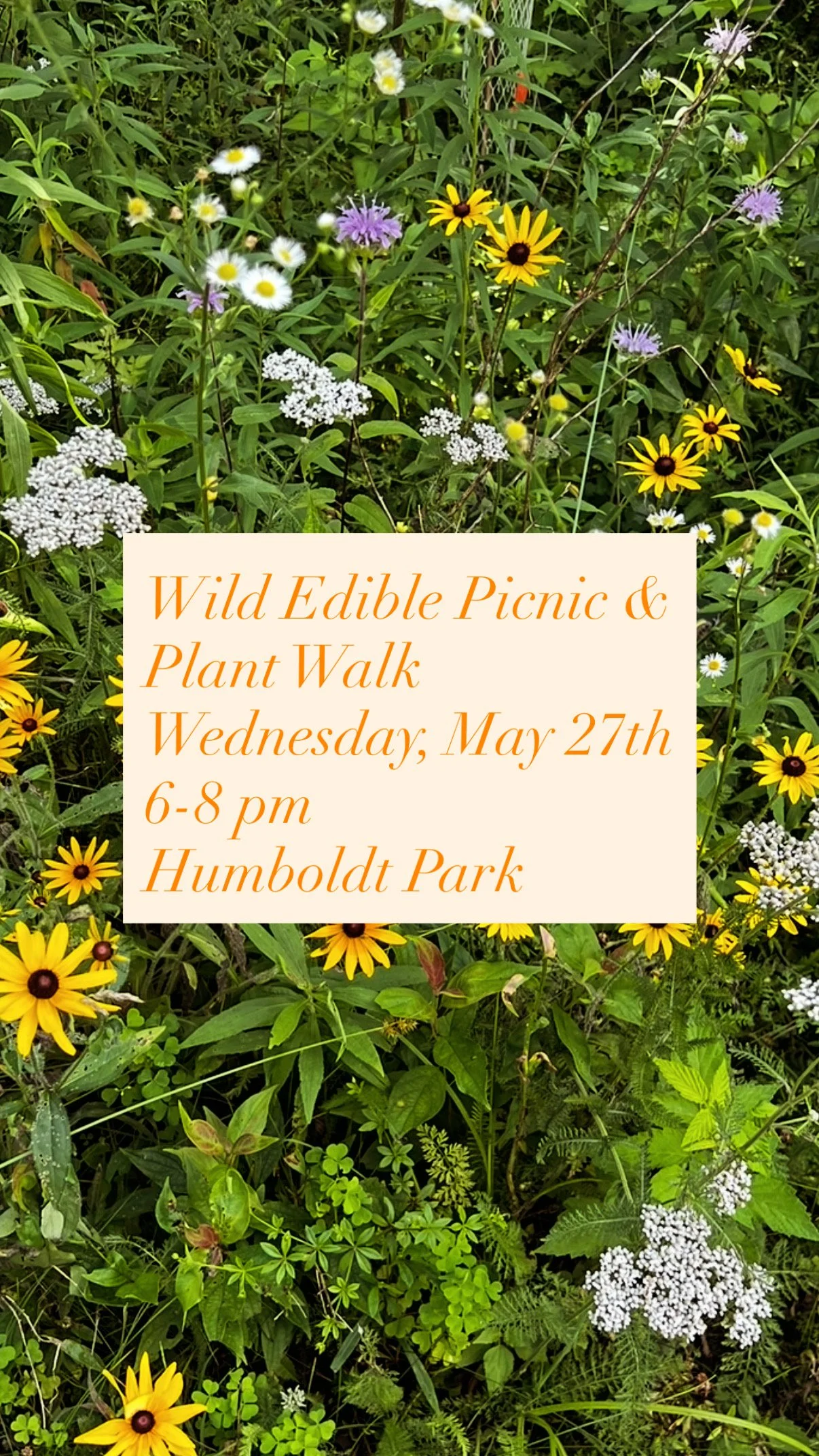 Wild Edible Picnic & Plant Walk, Wednesday May 27, 6-8pm @ Humboldt Park