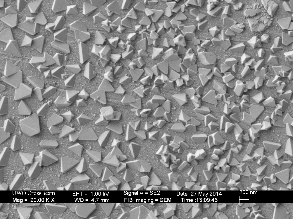 Alloy 800 after corrosion for 5 hours at in deaerated water at 400 C and 25 MPa. The crystals formed on the surface are magnetite.