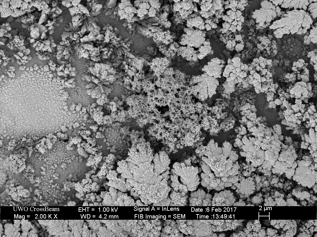 SEM image of copper metal deposited from copper sulphate solution by reduction on a carbon-steel surface.