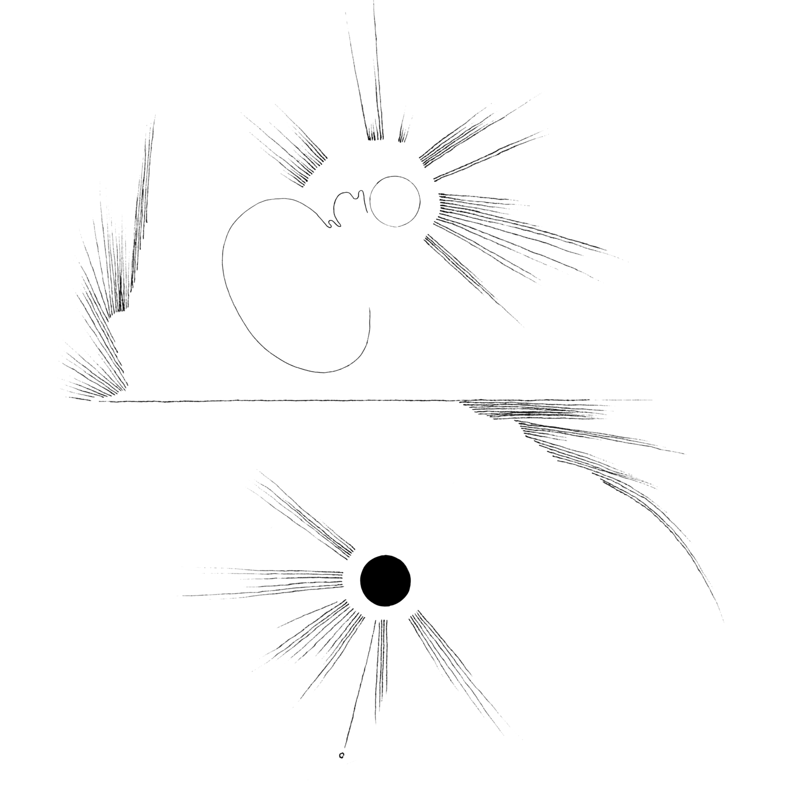 wood.png