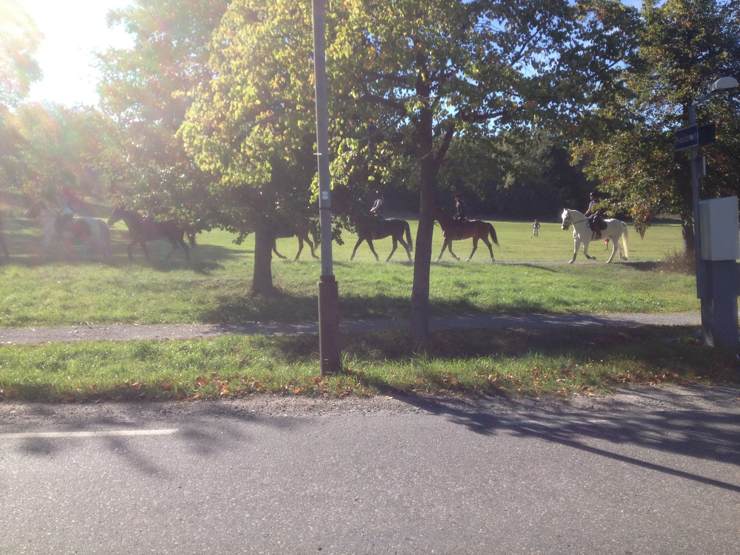 2013-09-08 14.52.48.jpg
