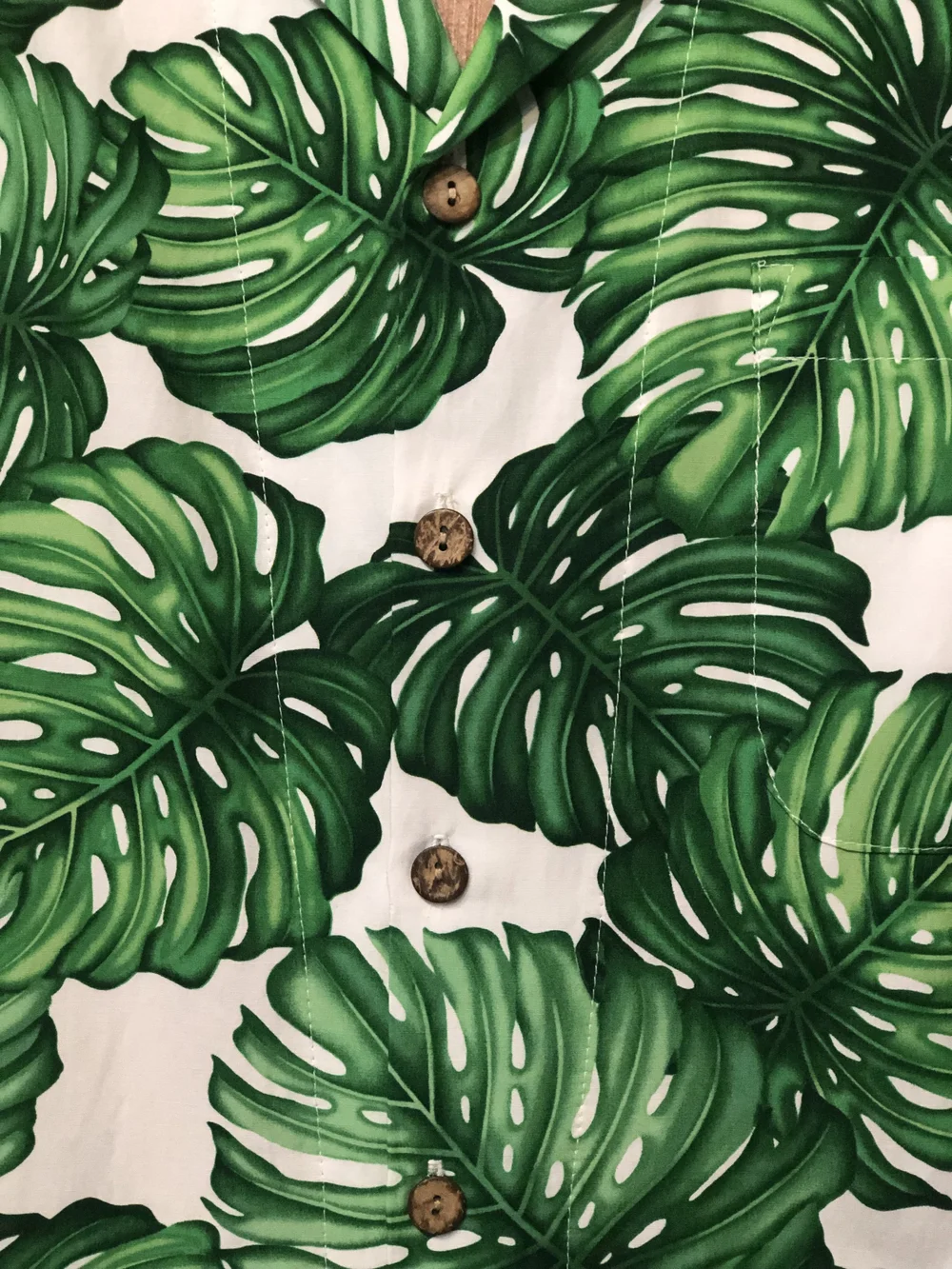 philodendron malay gold care Philodendron 'Malay Gold' – Neon Gold Climber
