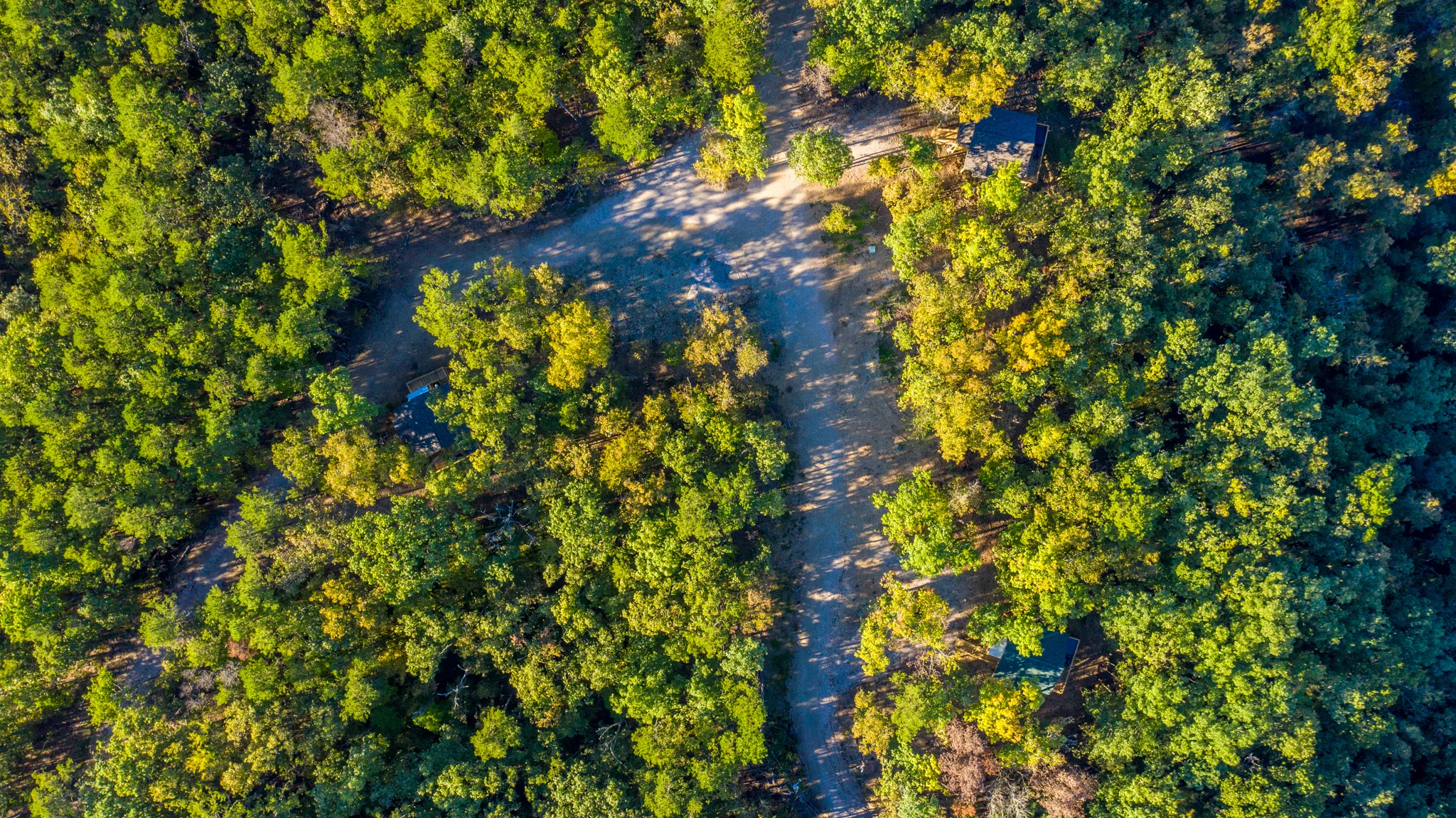 Aerial view of treehouses