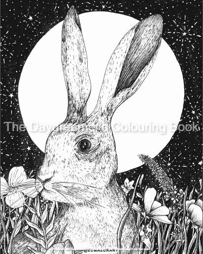 Ella Mazur Illustration Rabbit Printable Art Activity Colouring Page.jpg