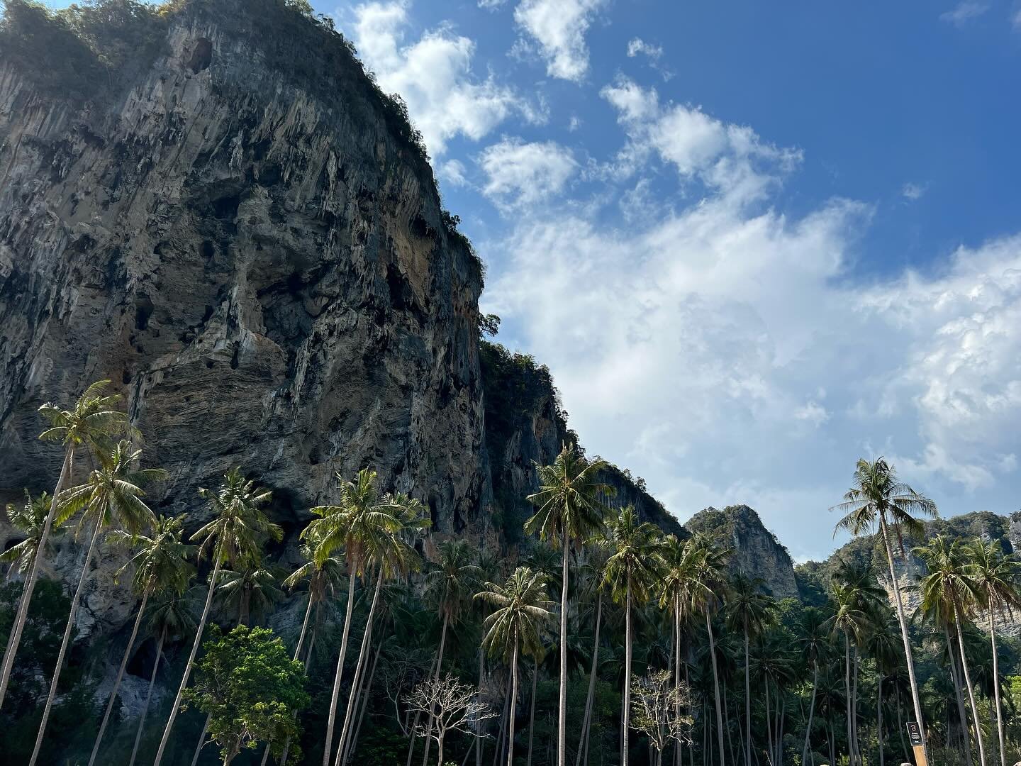 Hey @beau_skalley , remember when we spontaneously went to Thailand? 🇹🇭✨