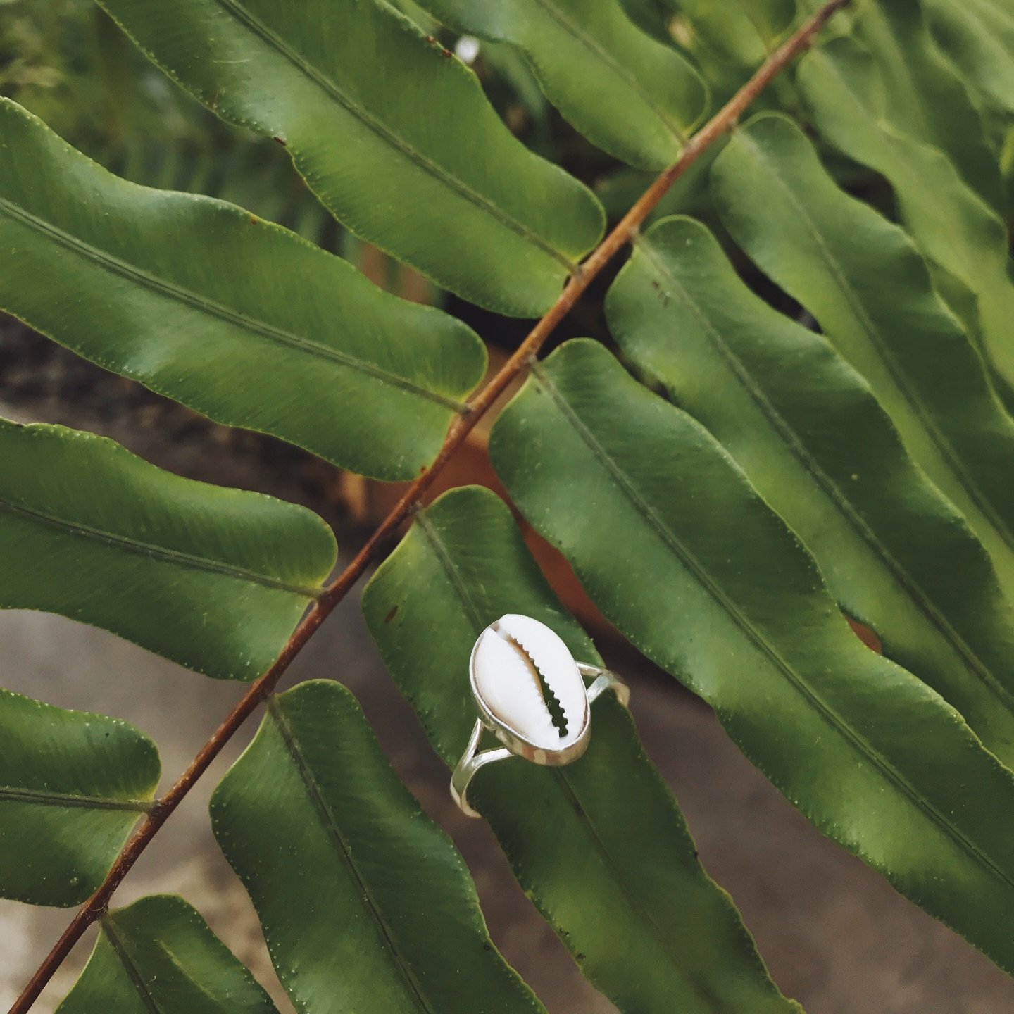 Simple Cowrie ✨ 
Available at @vagamundocoffee + online orders!