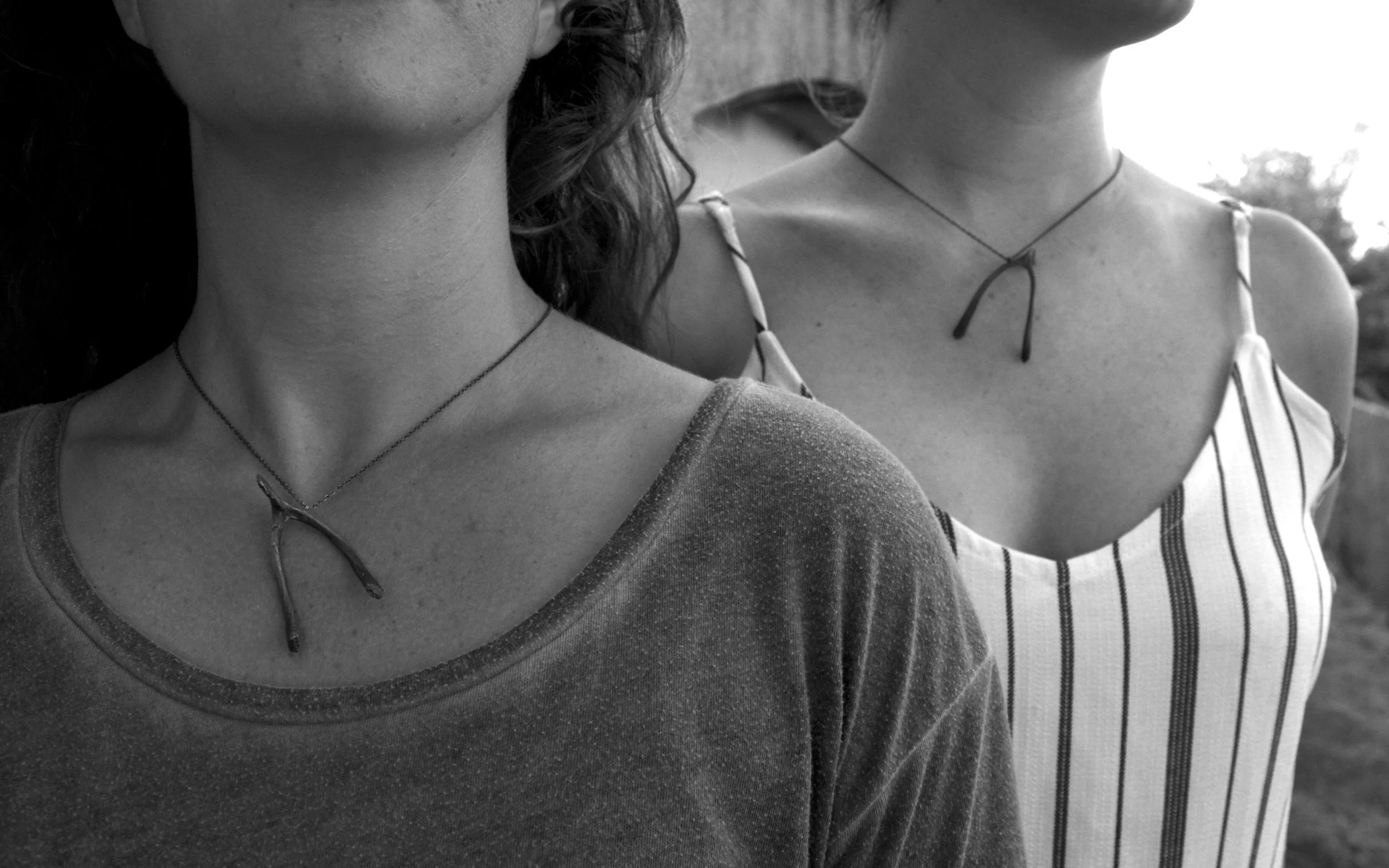WISHBONES