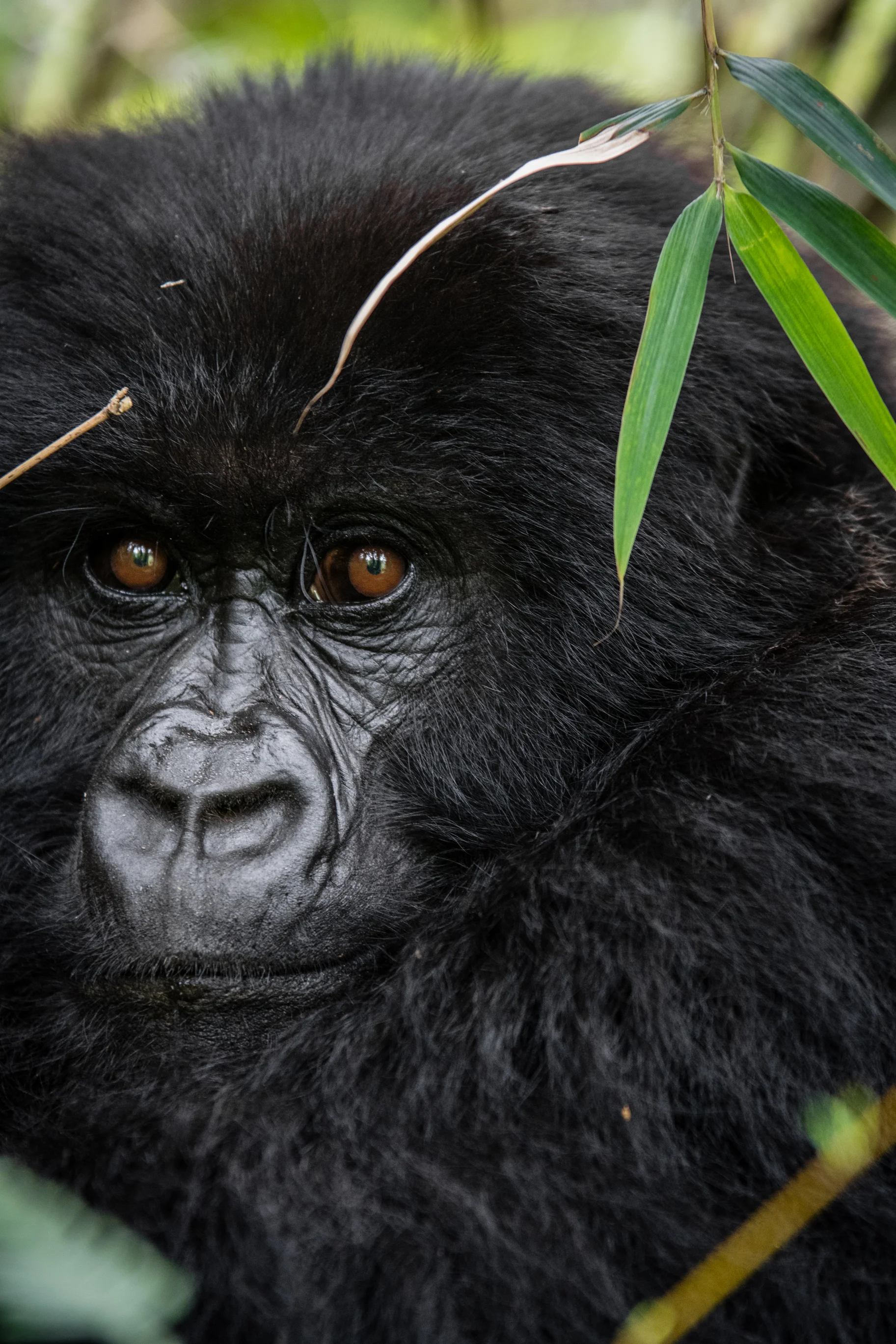 rwanda_20170601_5mp-29.jpg