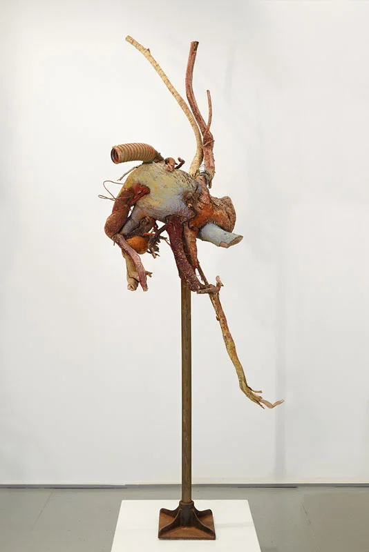 Live Specimen
Wood, paint, and metal.