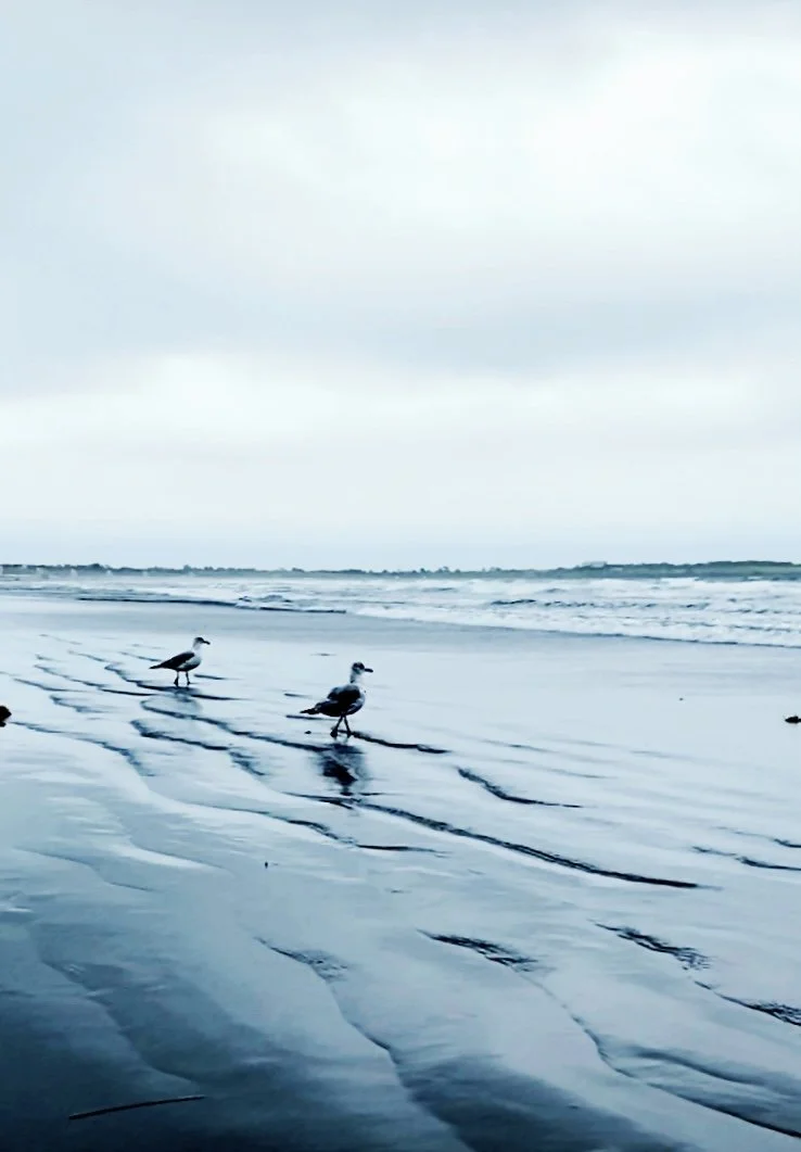 Samskaras, Awareness, and New Year Intentions