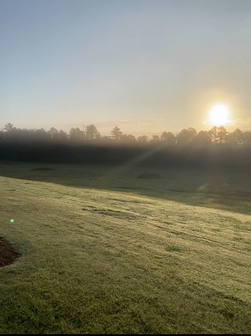 Returning - A Somatic Yoga Retreat