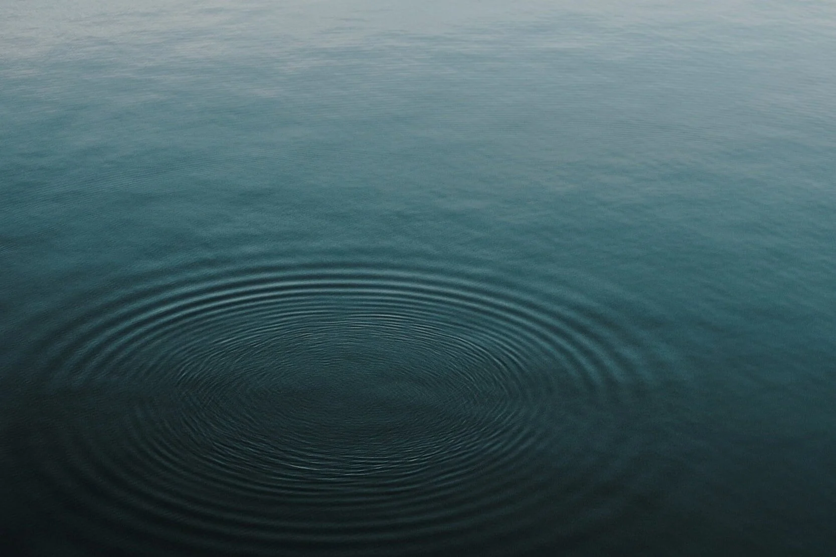 MAPPING EMOTIONS IN THE BODY