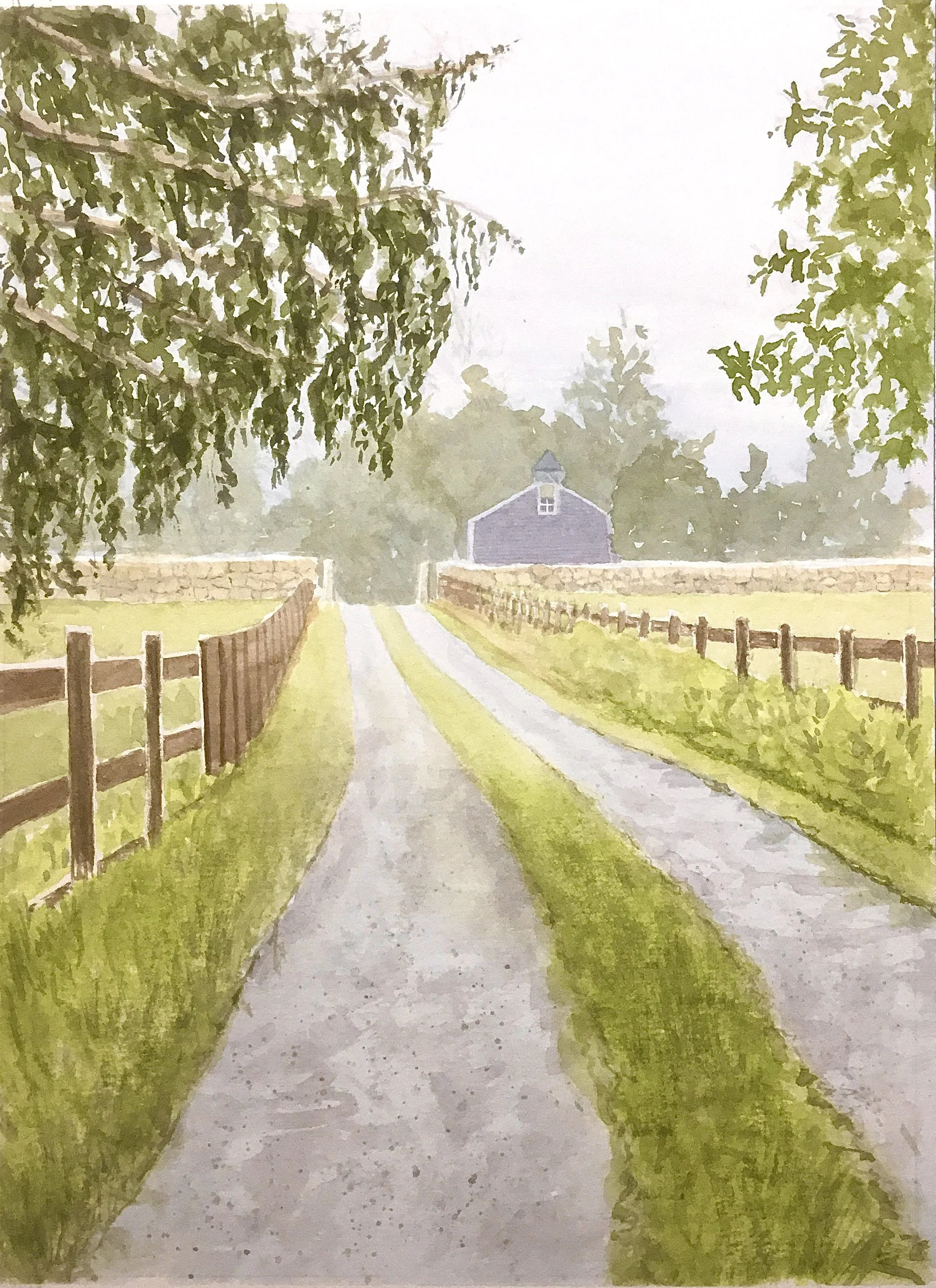 Misty Path, Martha’s Vineyard