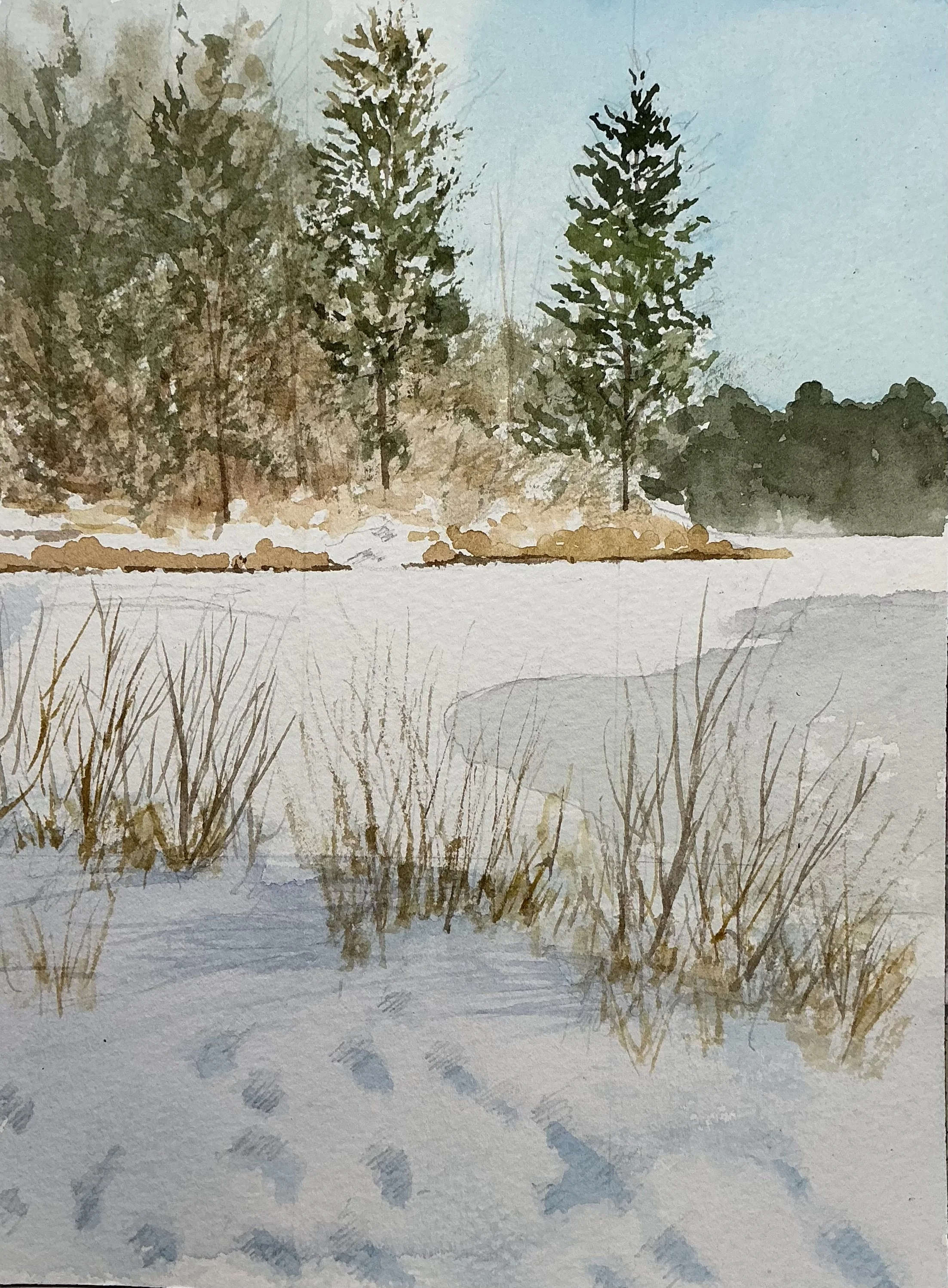 Hopedale Pond, Winter