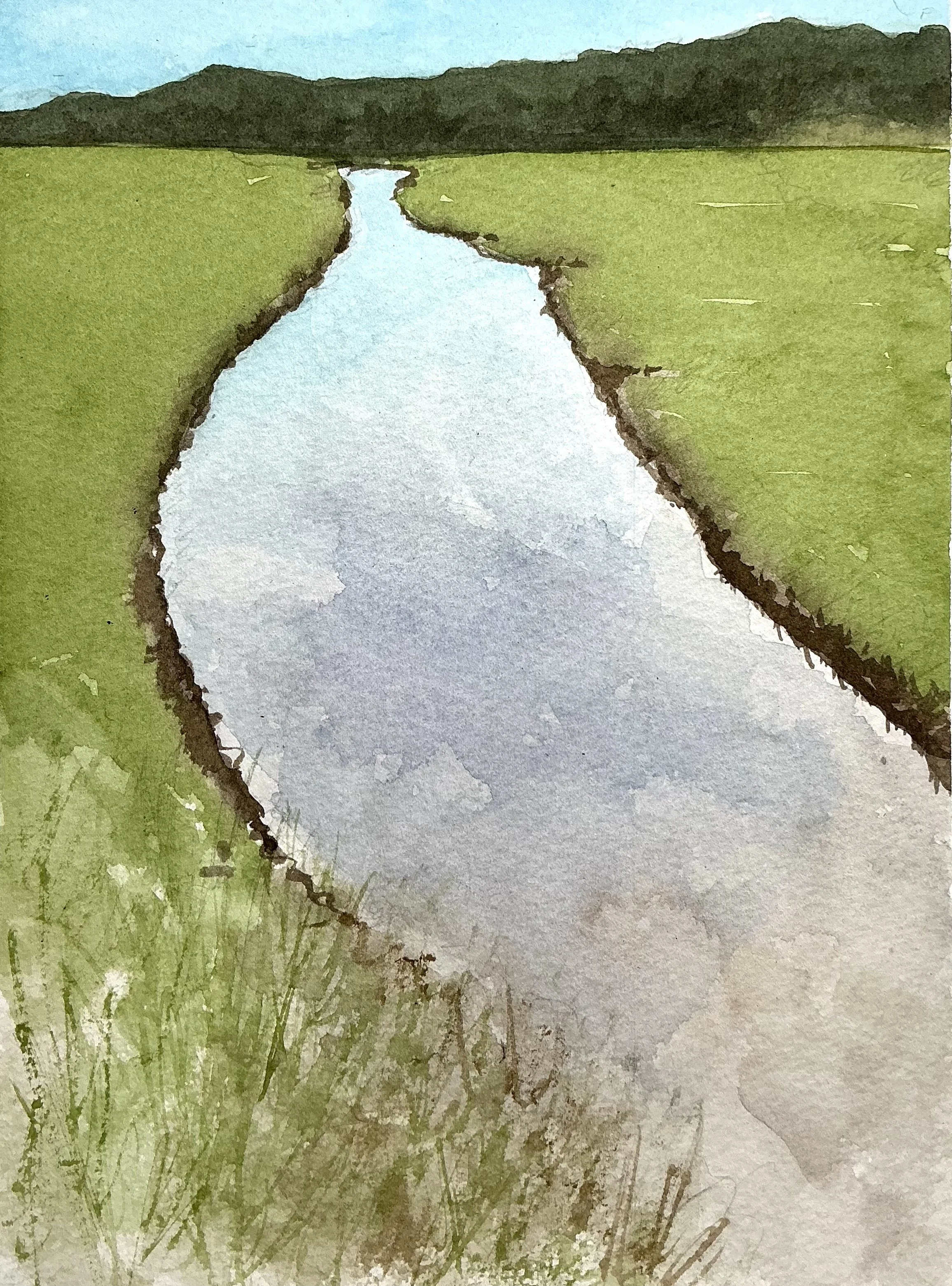 Marsh Reflections