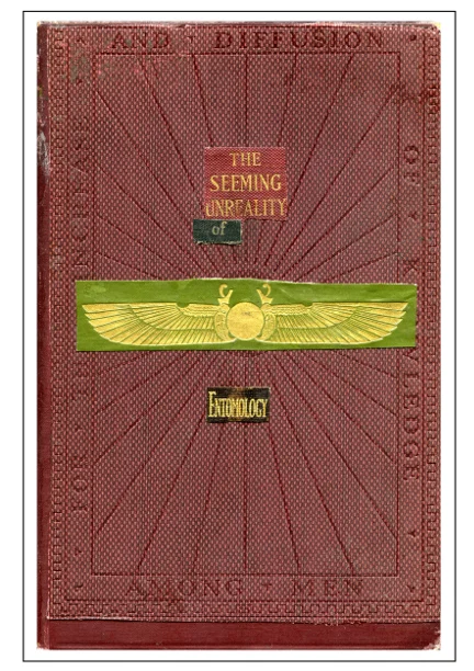 The Seeming Unreality of Entomology