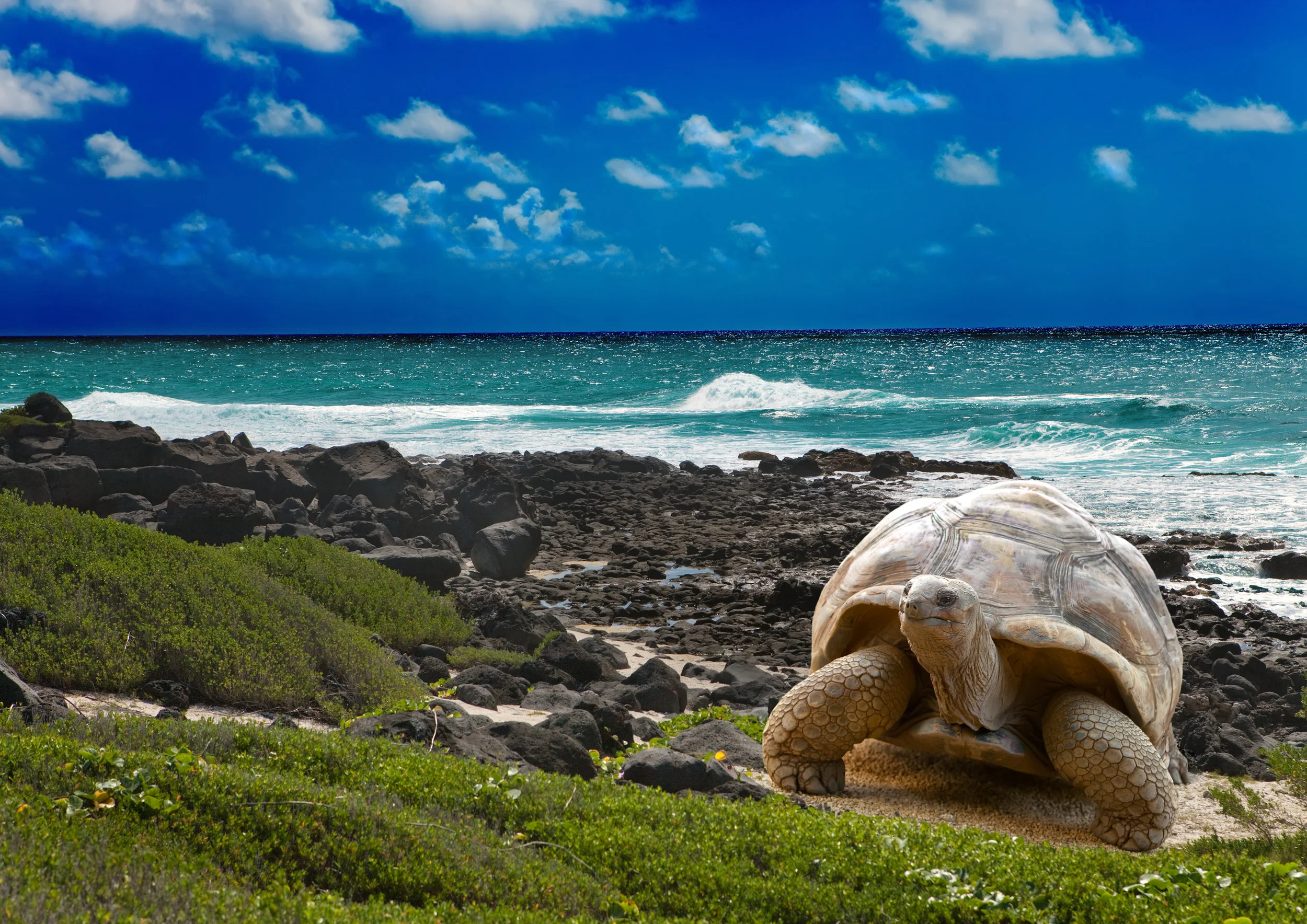 GALAPAGOS ISLANDS