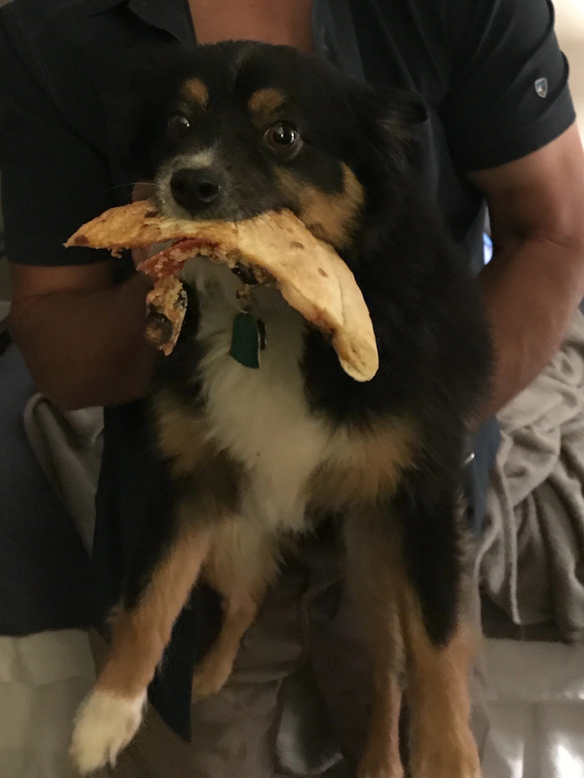 Here you can see the maniacal glee in his eyes at his captured prize.