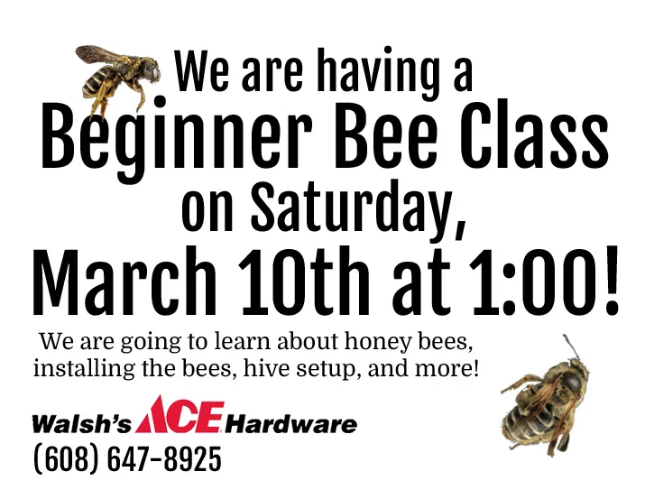 bee class bag stuffer copy.jpg