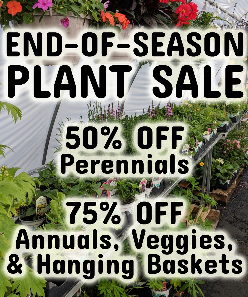 GREENHOUSE SALE FACEBOOK POST copy.jpg