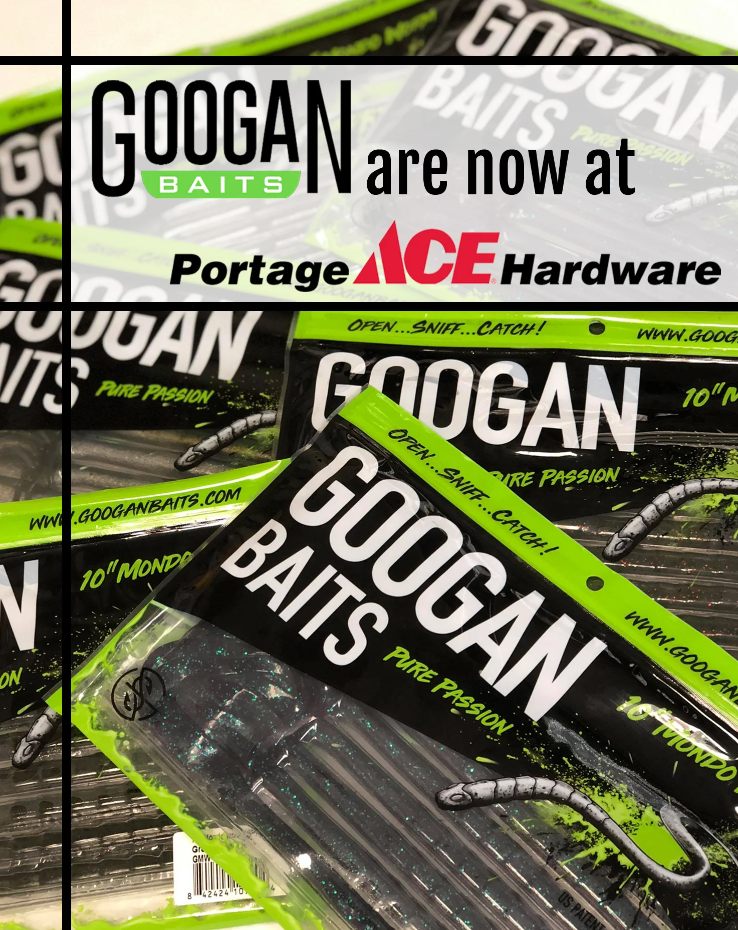 googan copy.jpg
