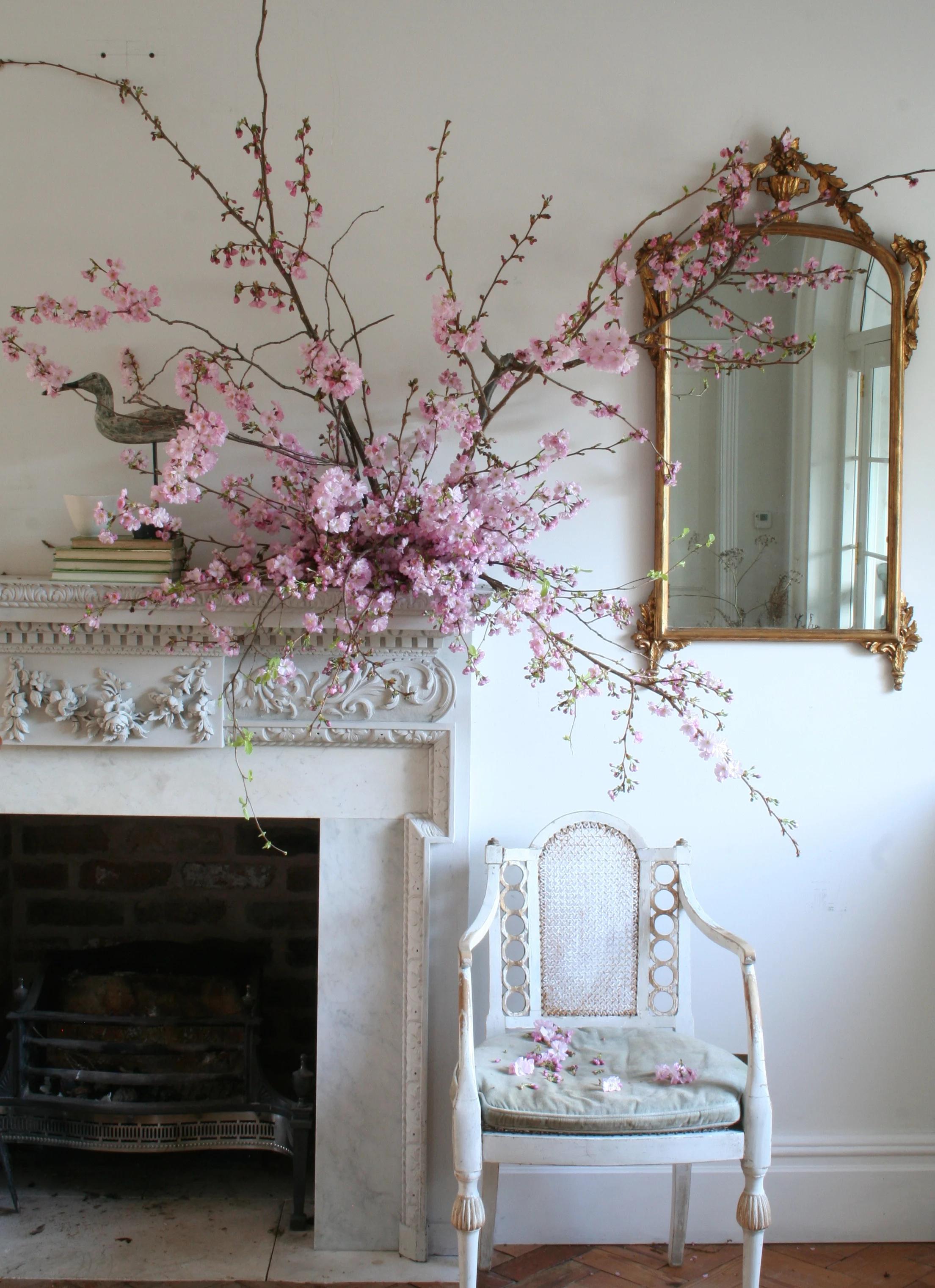 Prunus 'Accolade'. Photo by Lucy