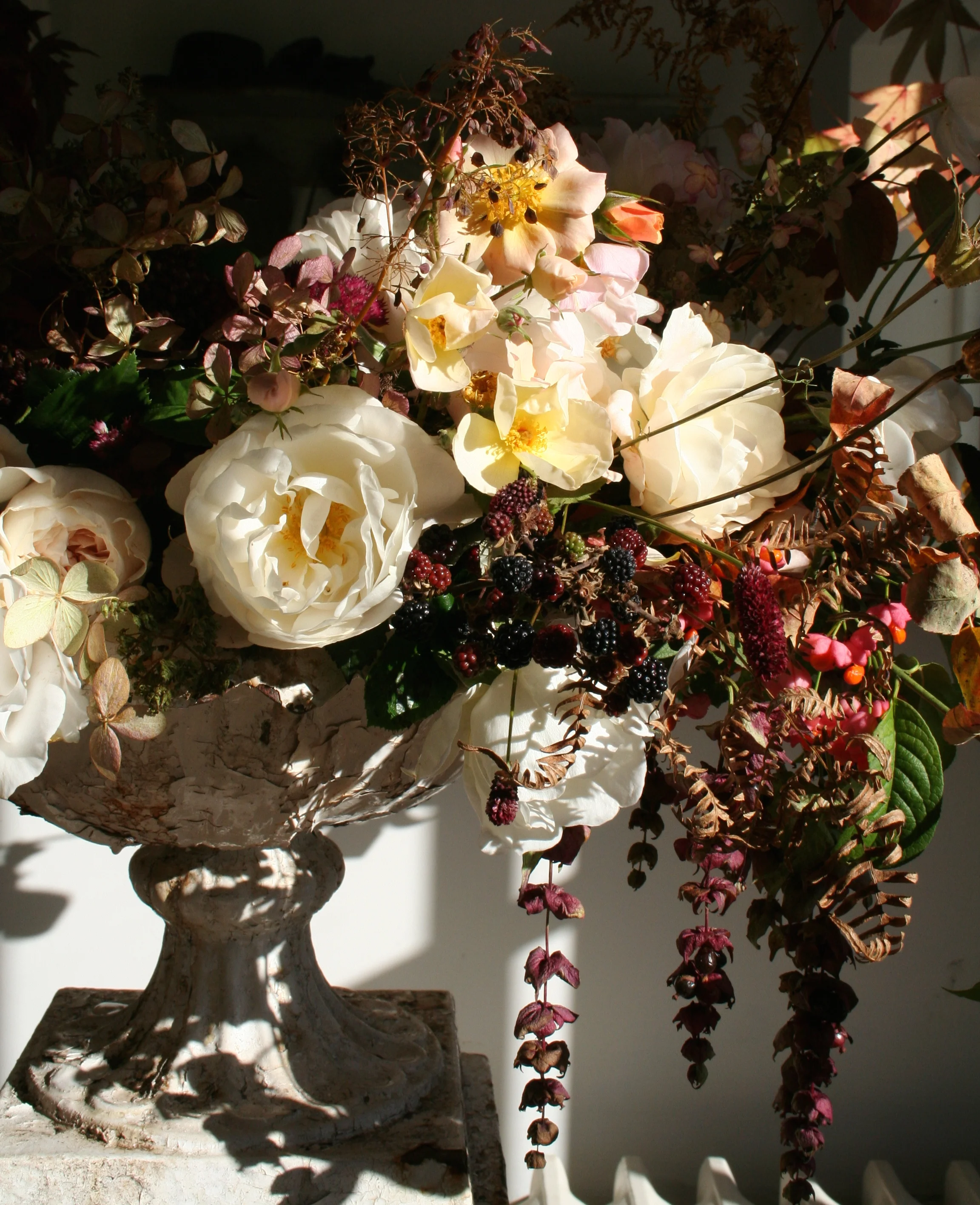 Garden roses, blackberries, leycesteria. Photo by Lucy