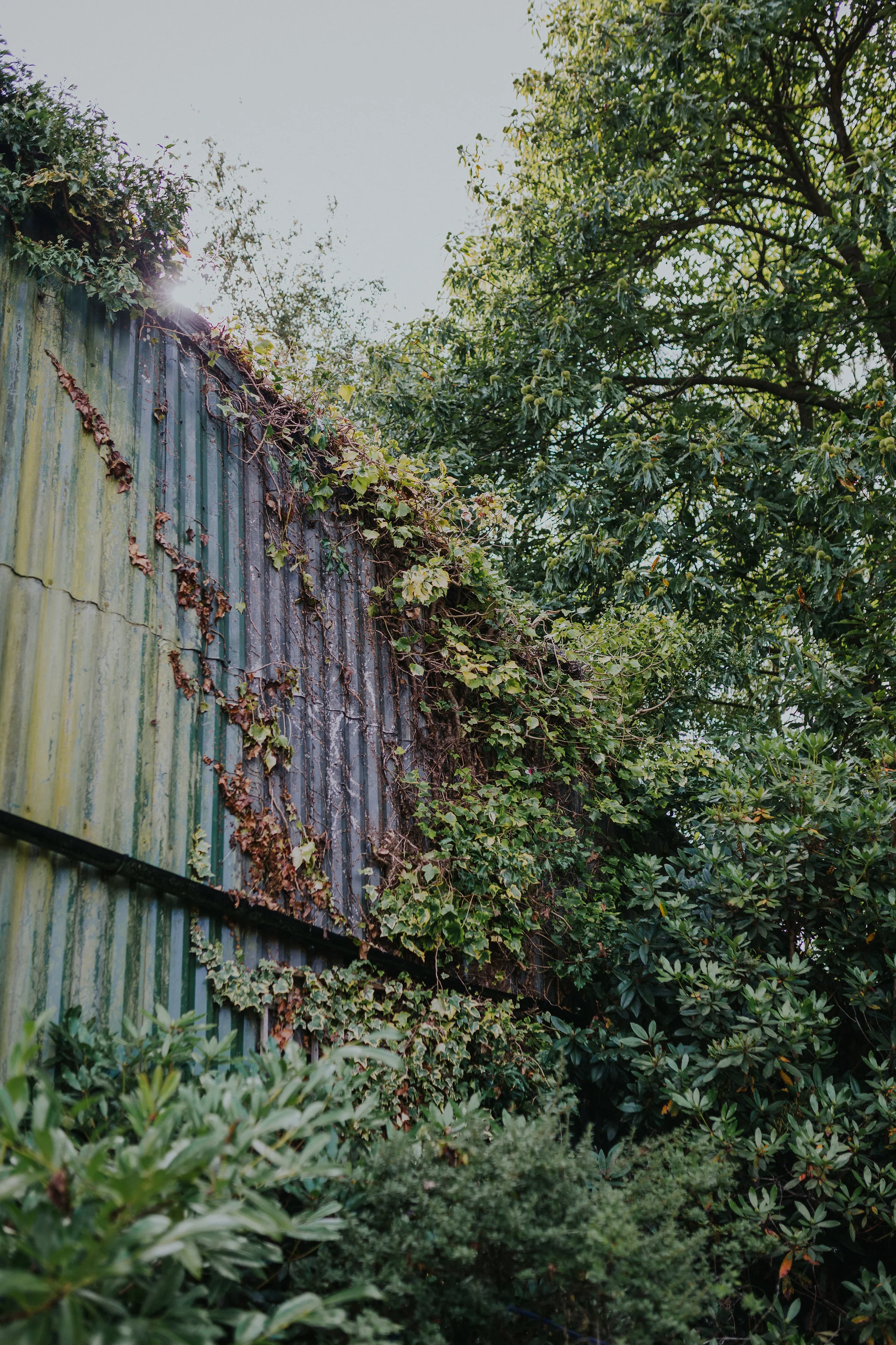 Photo by Kate Gray photography.