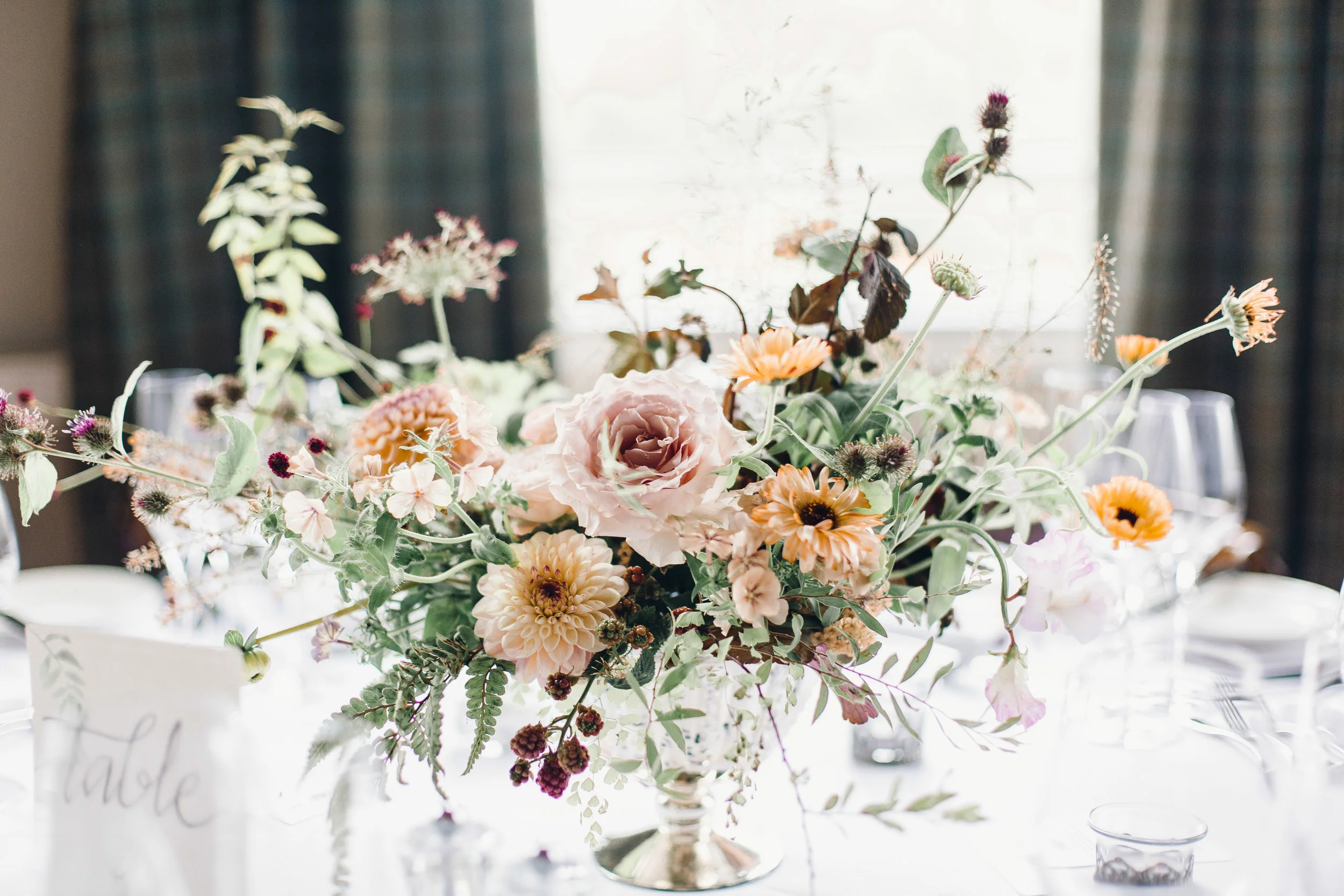 Photo by Jessica Reeve photography