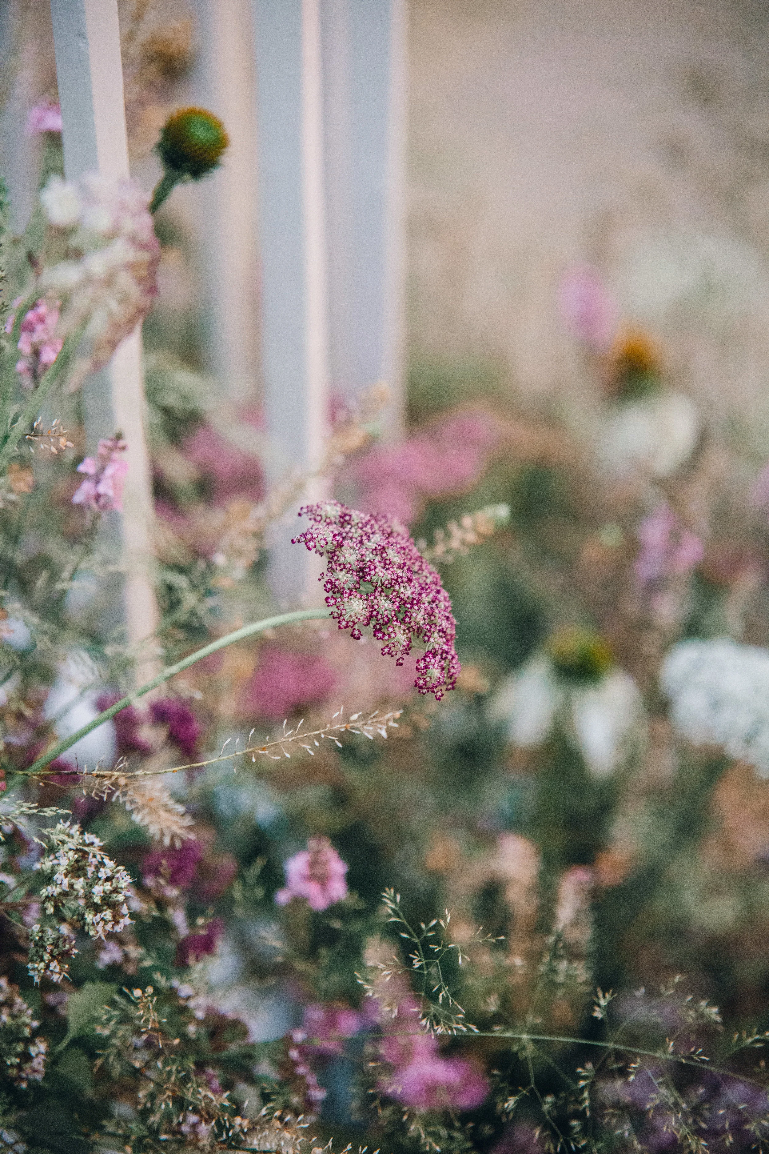 Photo by Jessica Reeve