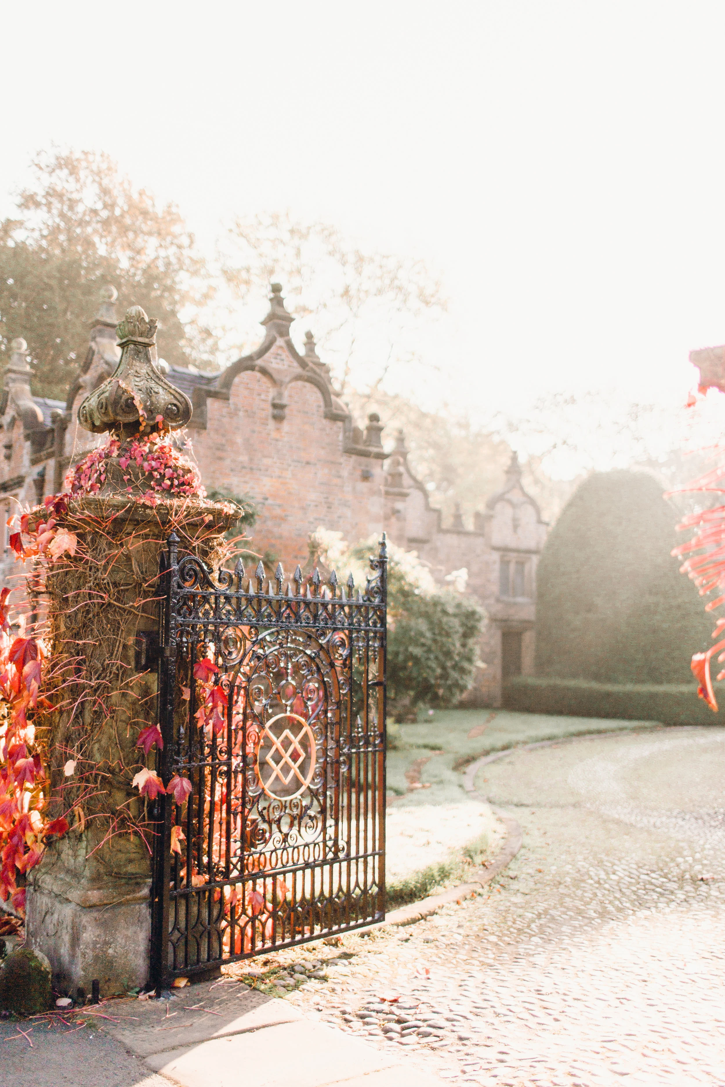 Photograph by Jessica Reeve.
