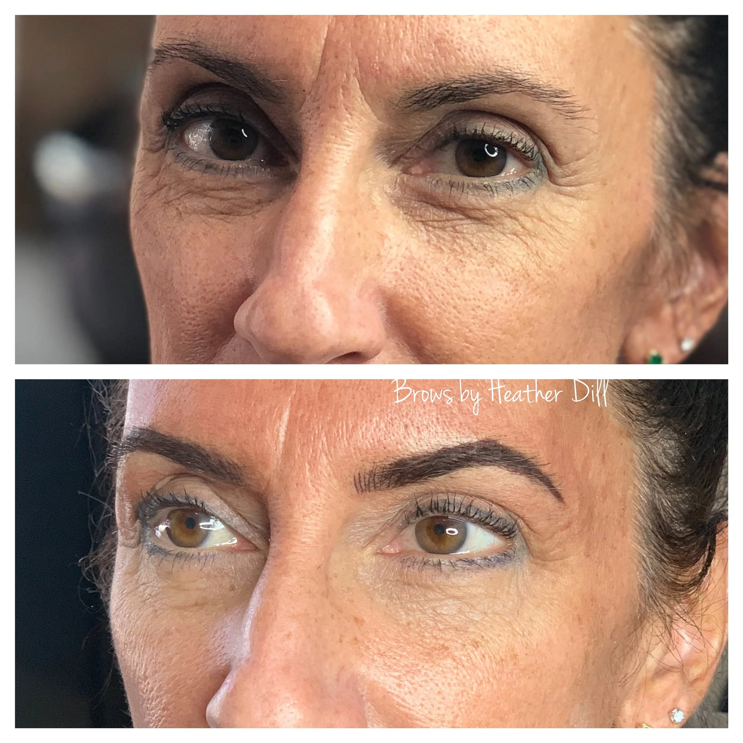 Brow Gallery — Shear Organic Extensions & Color Studio