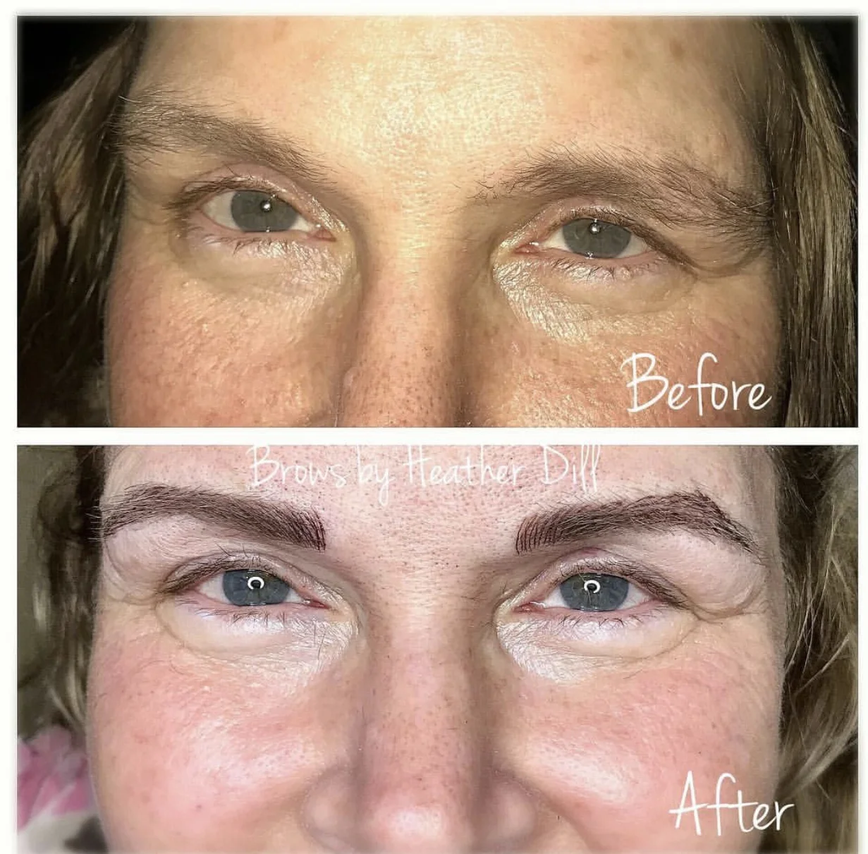 Brow Gallery — Shear Organic Extensions & Color Studio