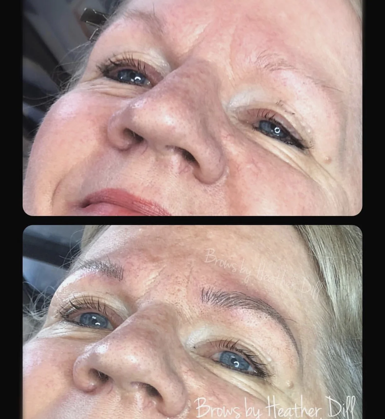 Brow Gallery — Shear Organic Extensions & Color Studio