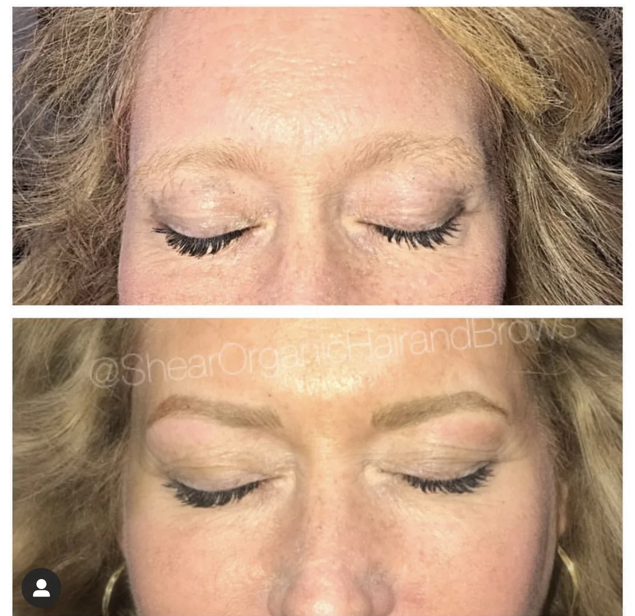 Brow Gallery — Shear Organic Extensions & Color Studio