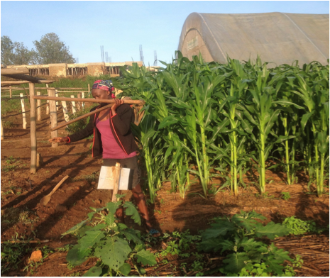 Toekomst voor Ugandese jongeren