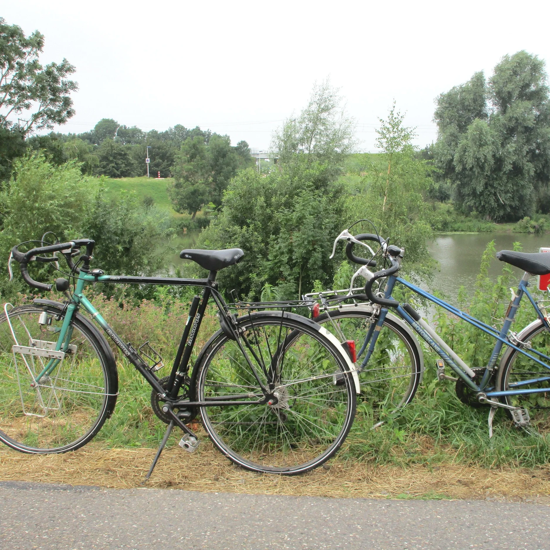 Nieuwe avonturen in een onbekend land