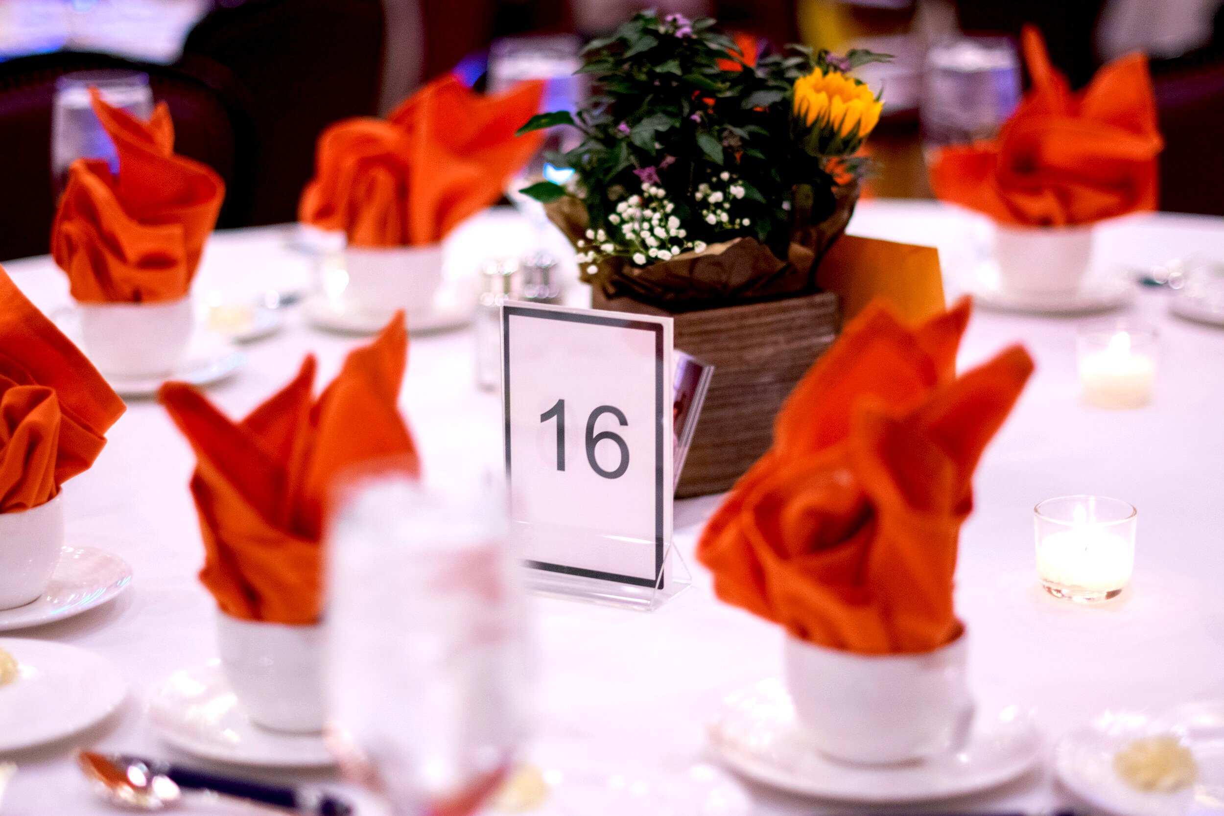 ADS_0011.jpg