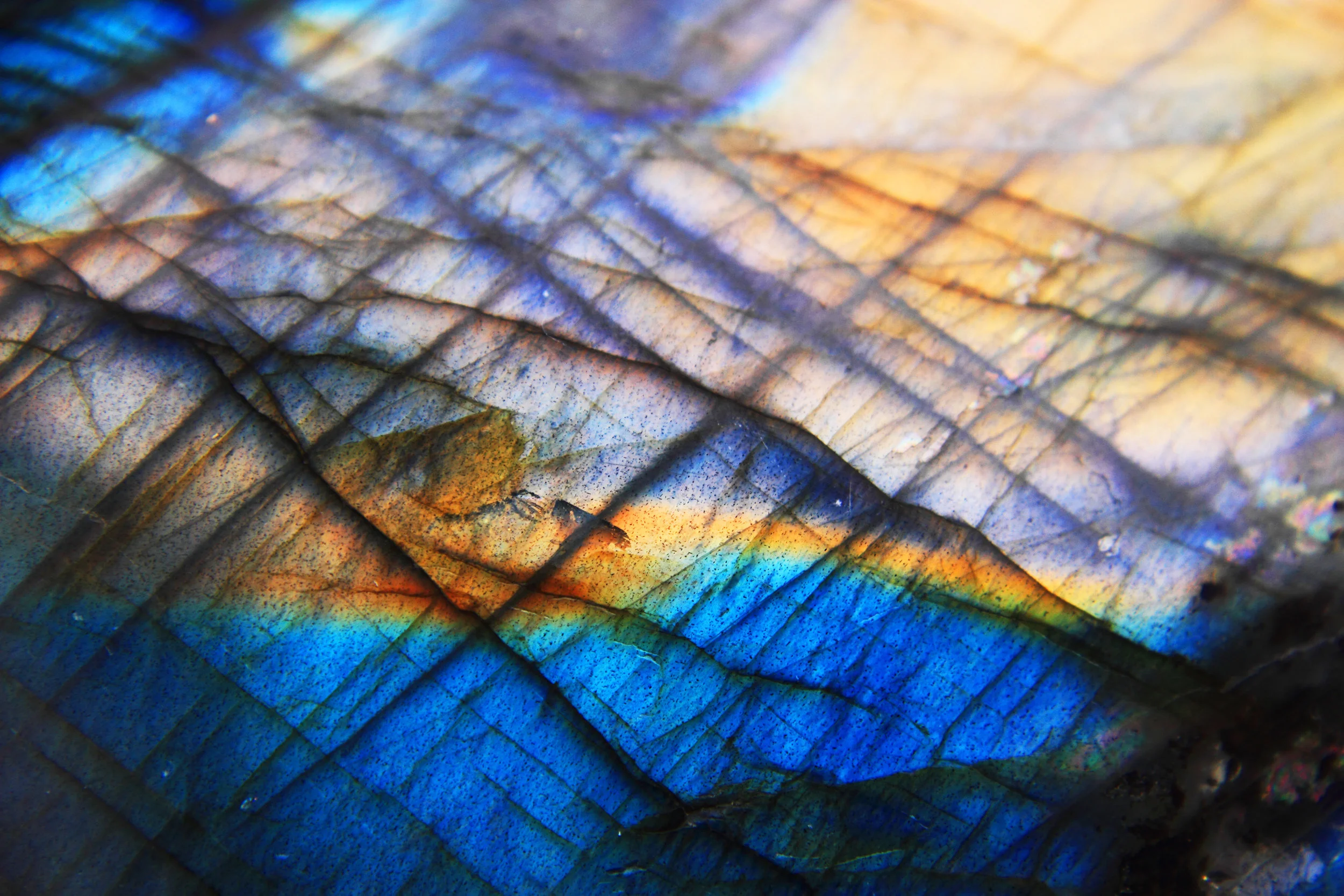 AdobeStock_61185987.jpeg