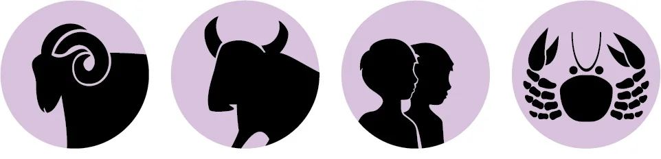 branded+zodiac+signs.jpg