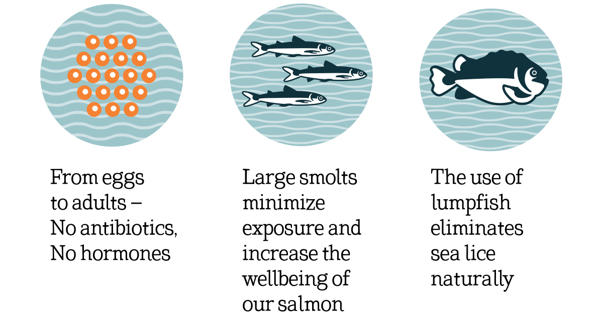 Infographics_01.jpg