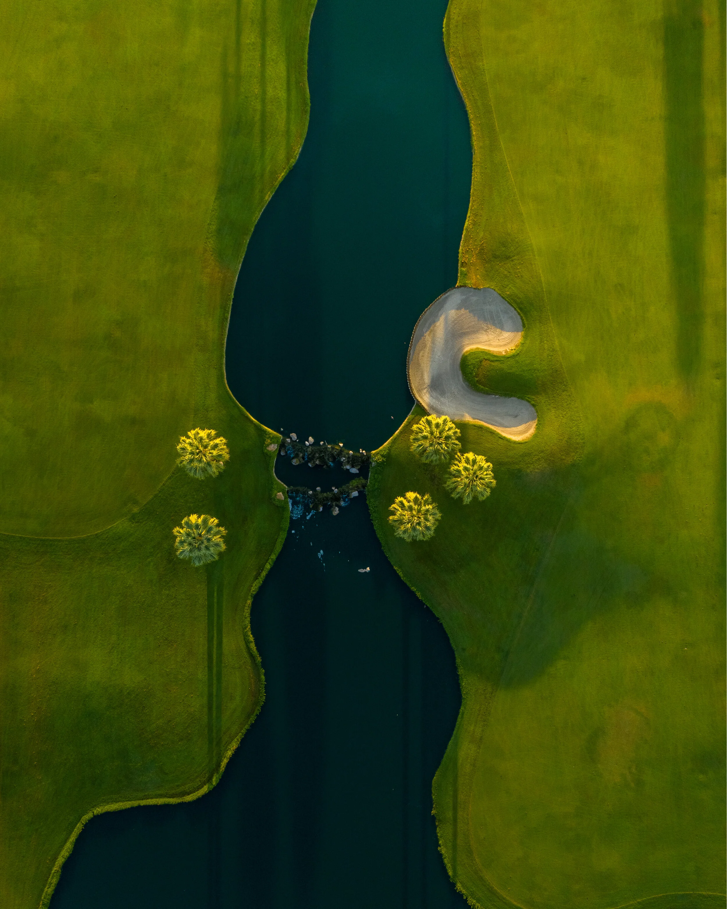 ART-.jpg